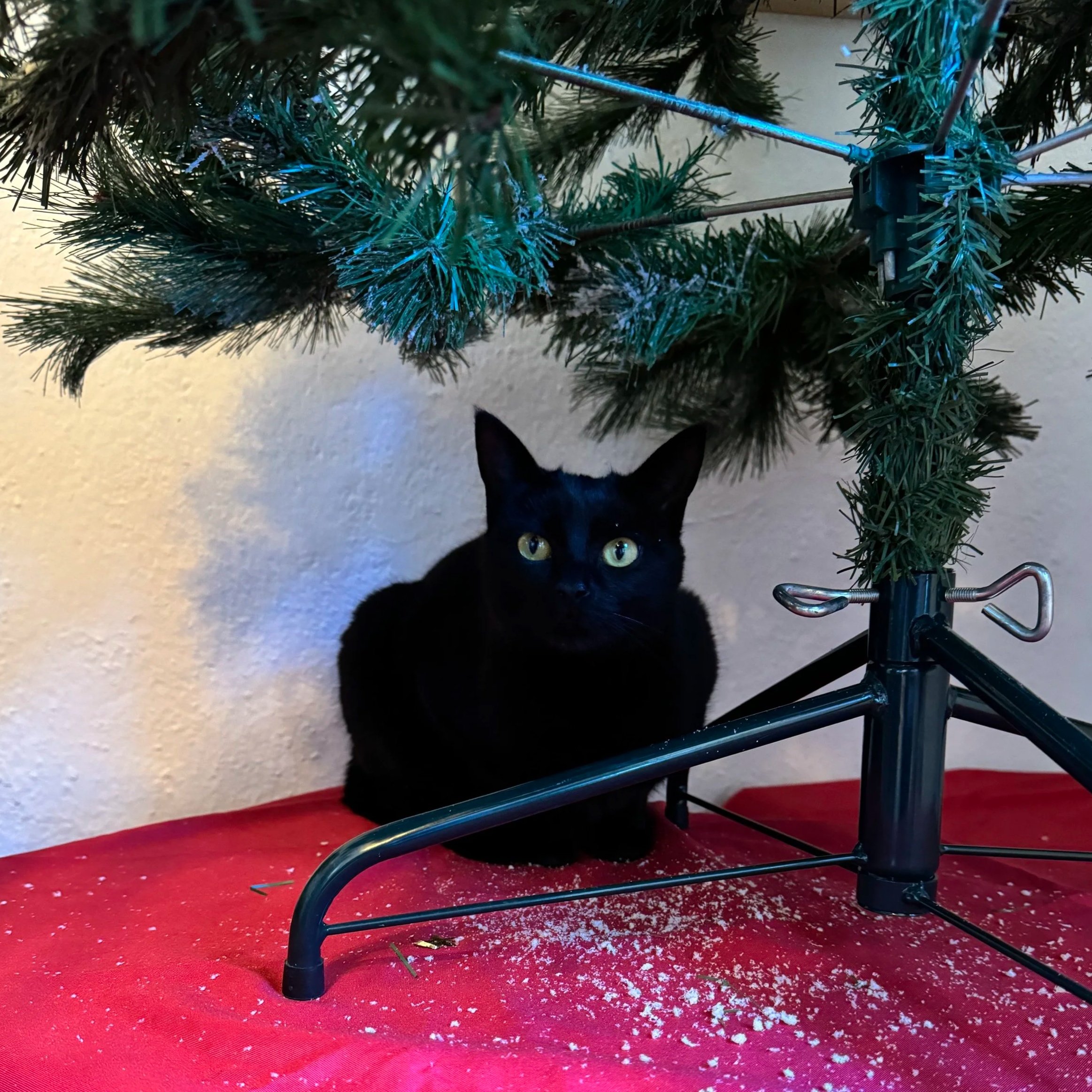 That Time of Year…