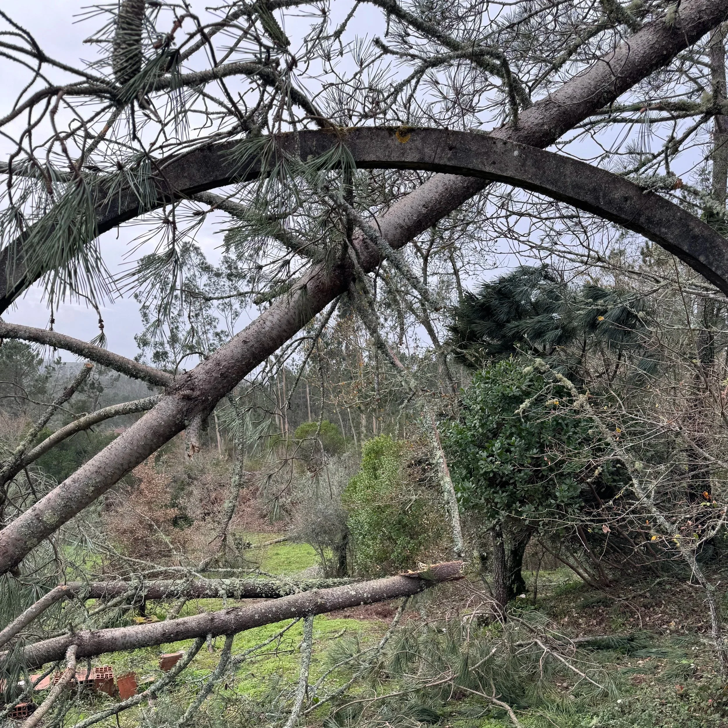 This used to be the path down onto our land