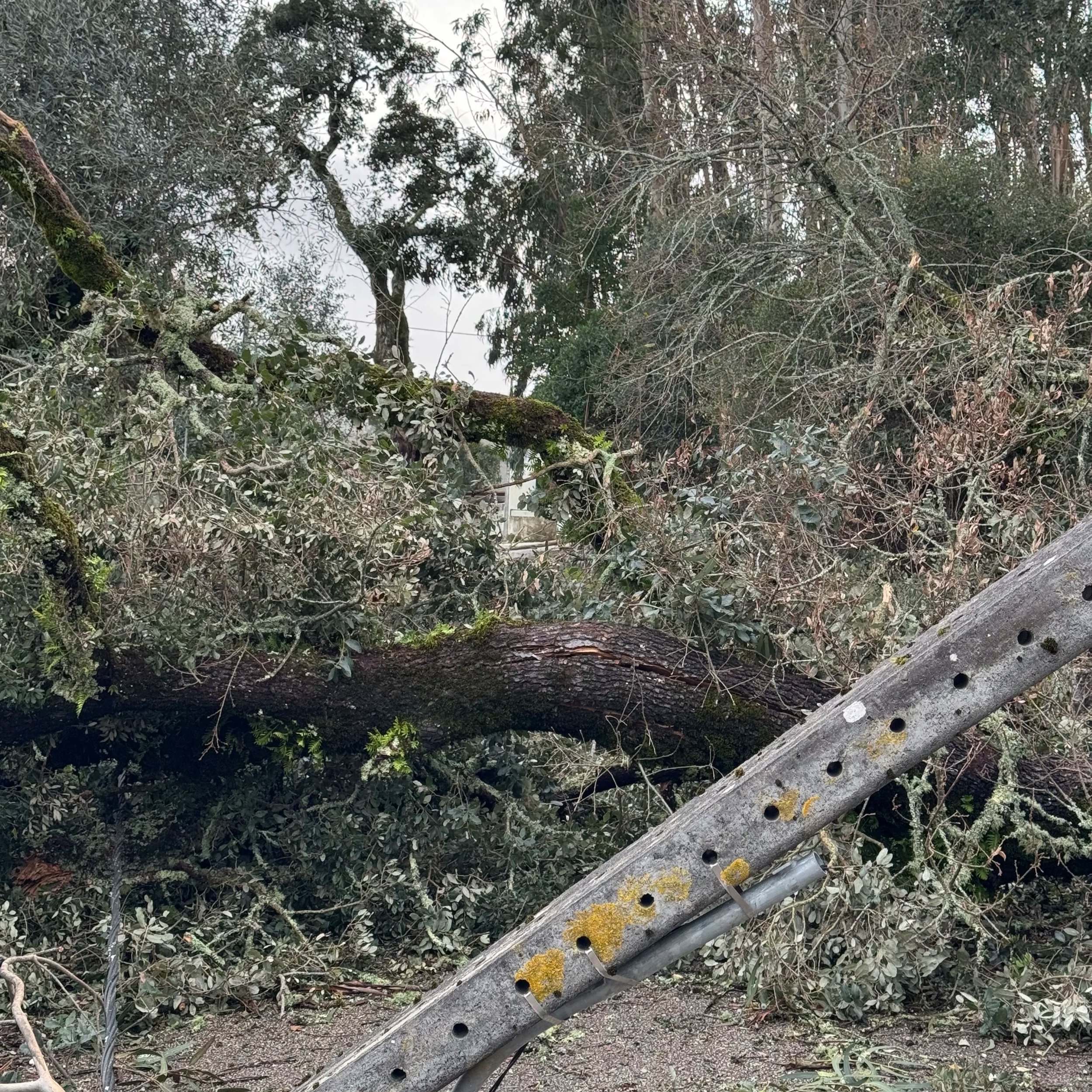 Our house is in the centre background