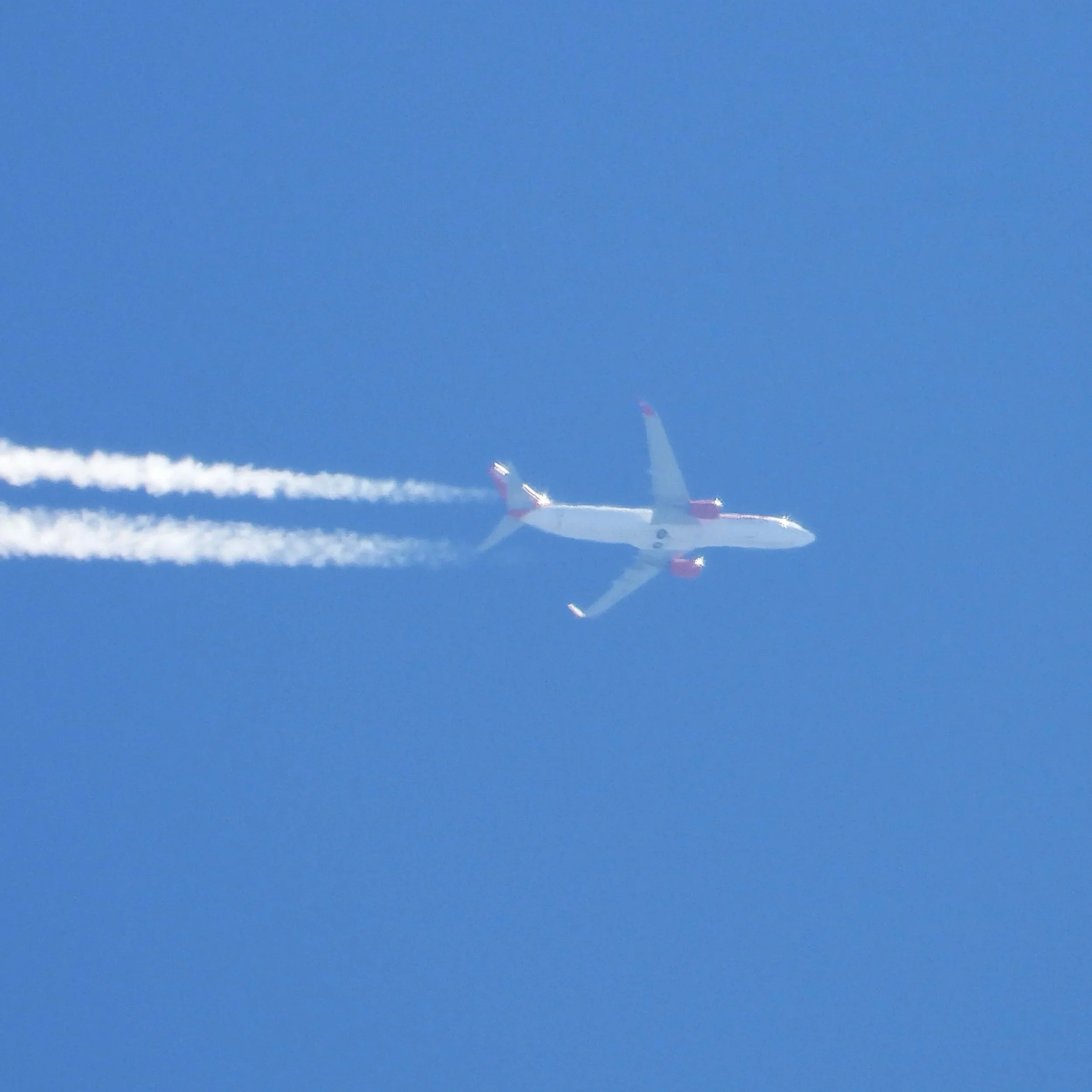 Luigi: the 1st diary entry