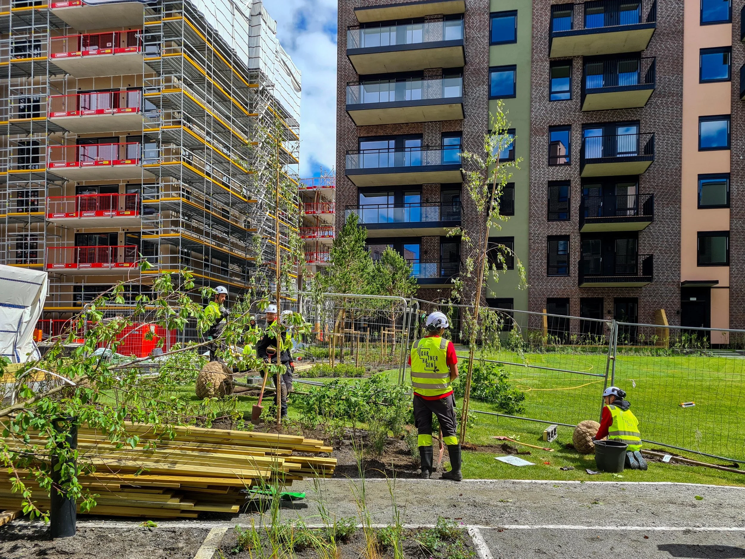 Lille Løren - Folkvord Planter - 002.jpg