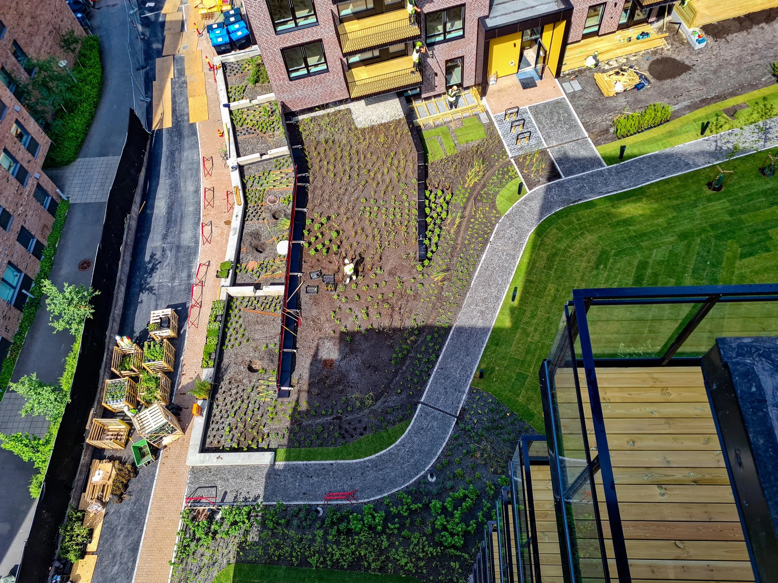 Lille Løren - Folkvord Planter - 001.jpg