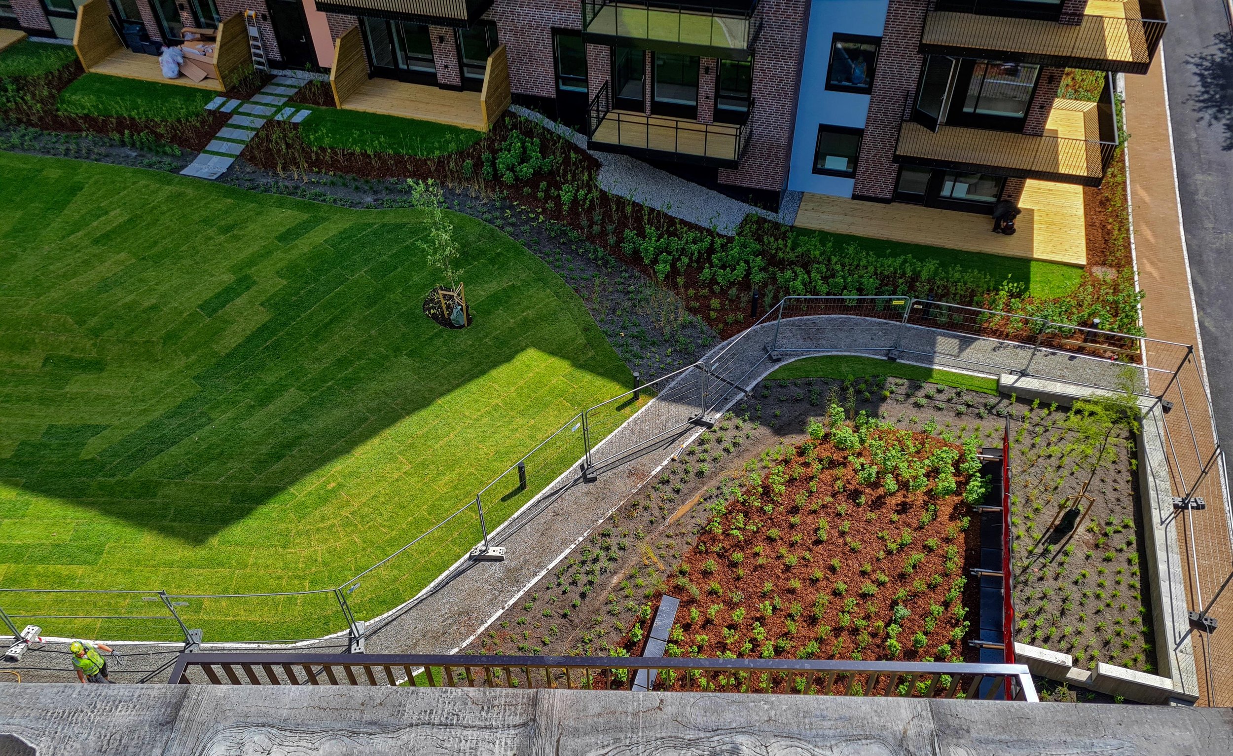 Lille Løren - Folkvord Planter - 006.jpg