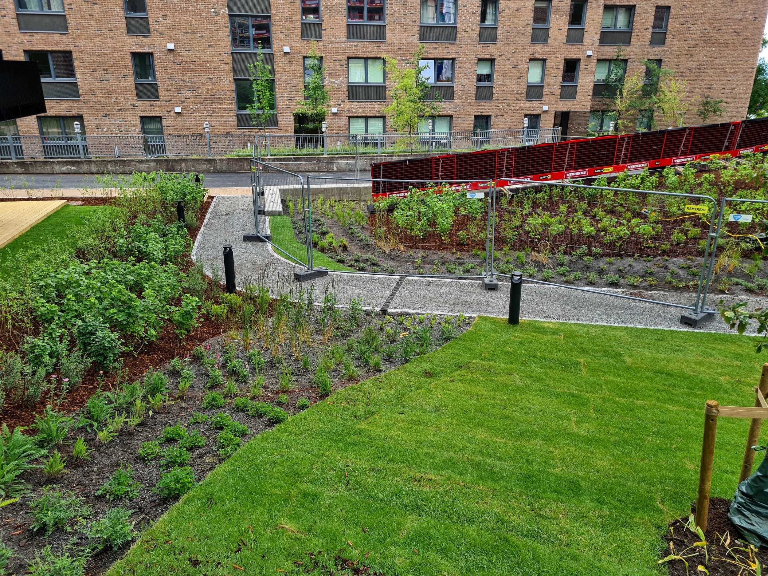 Lille Løren - Folkvord Planter - 005.jpg