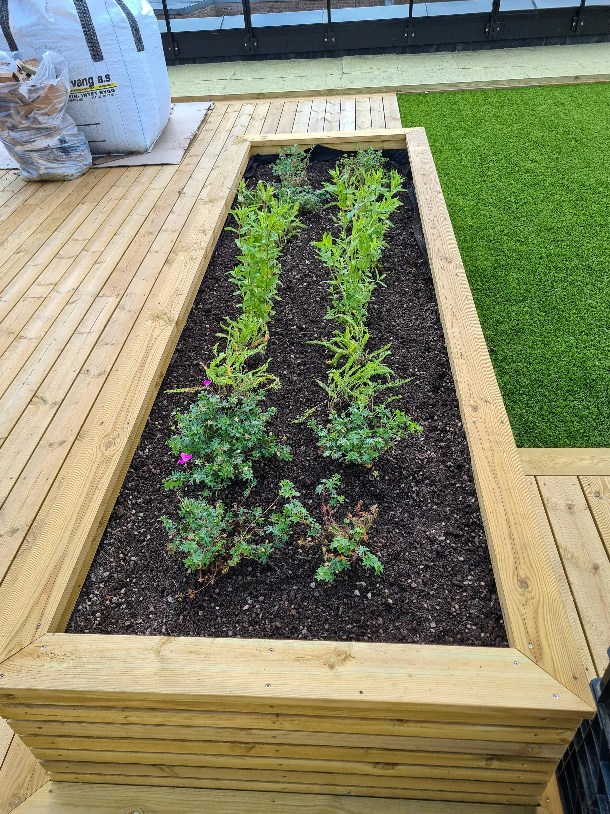 Lille Løren - Folkvord Planter - 003.jpg