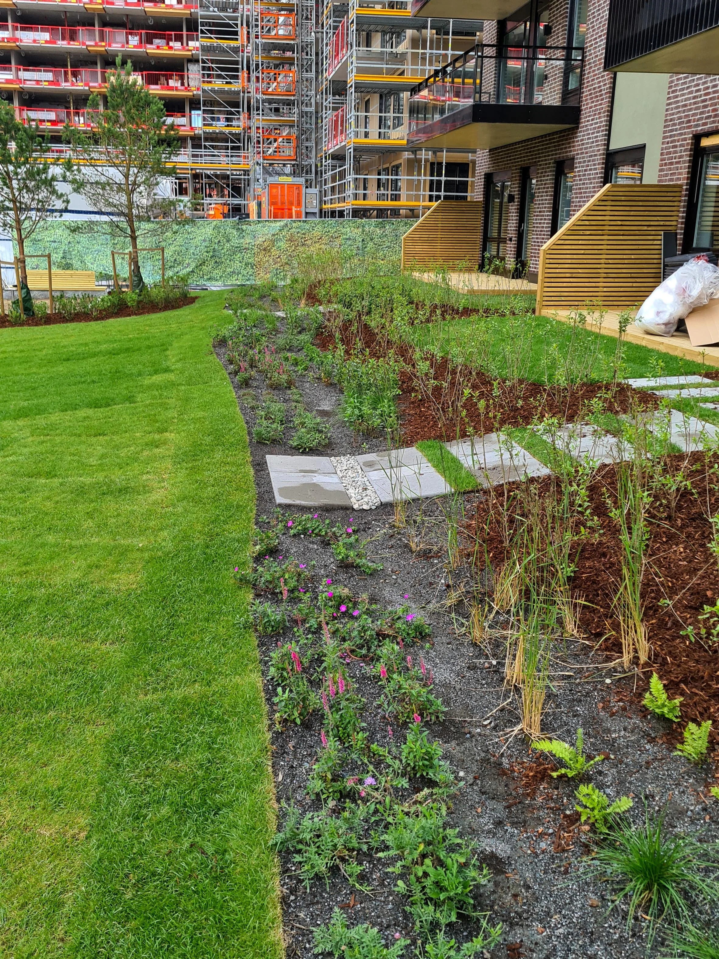 Lille Løren - Folkvord Planter - 004.jpg