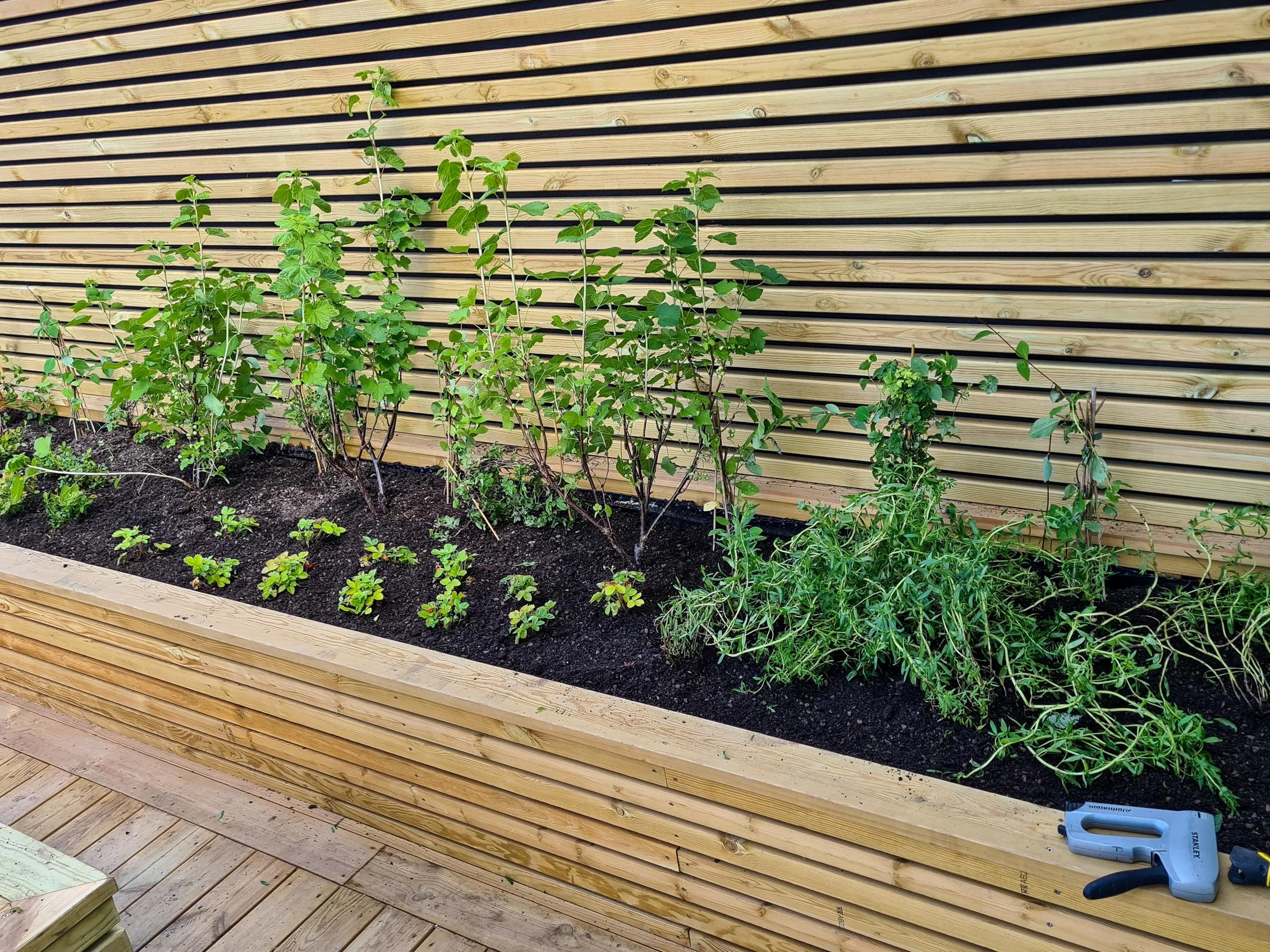 Lille Løren - Folkvord Planter - 007.jpg