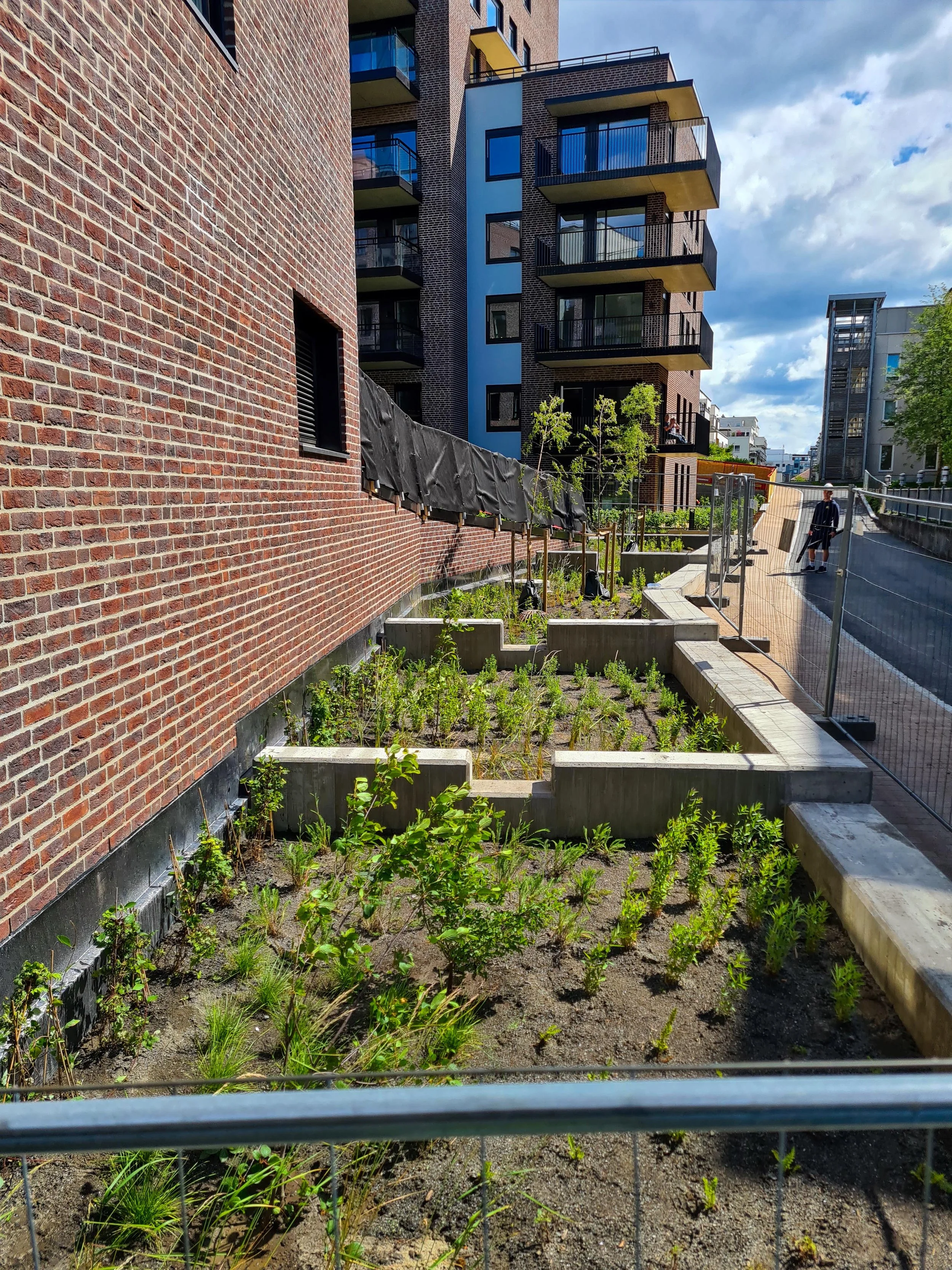 Lille Løren - Folkvord Planter - 008.jpg