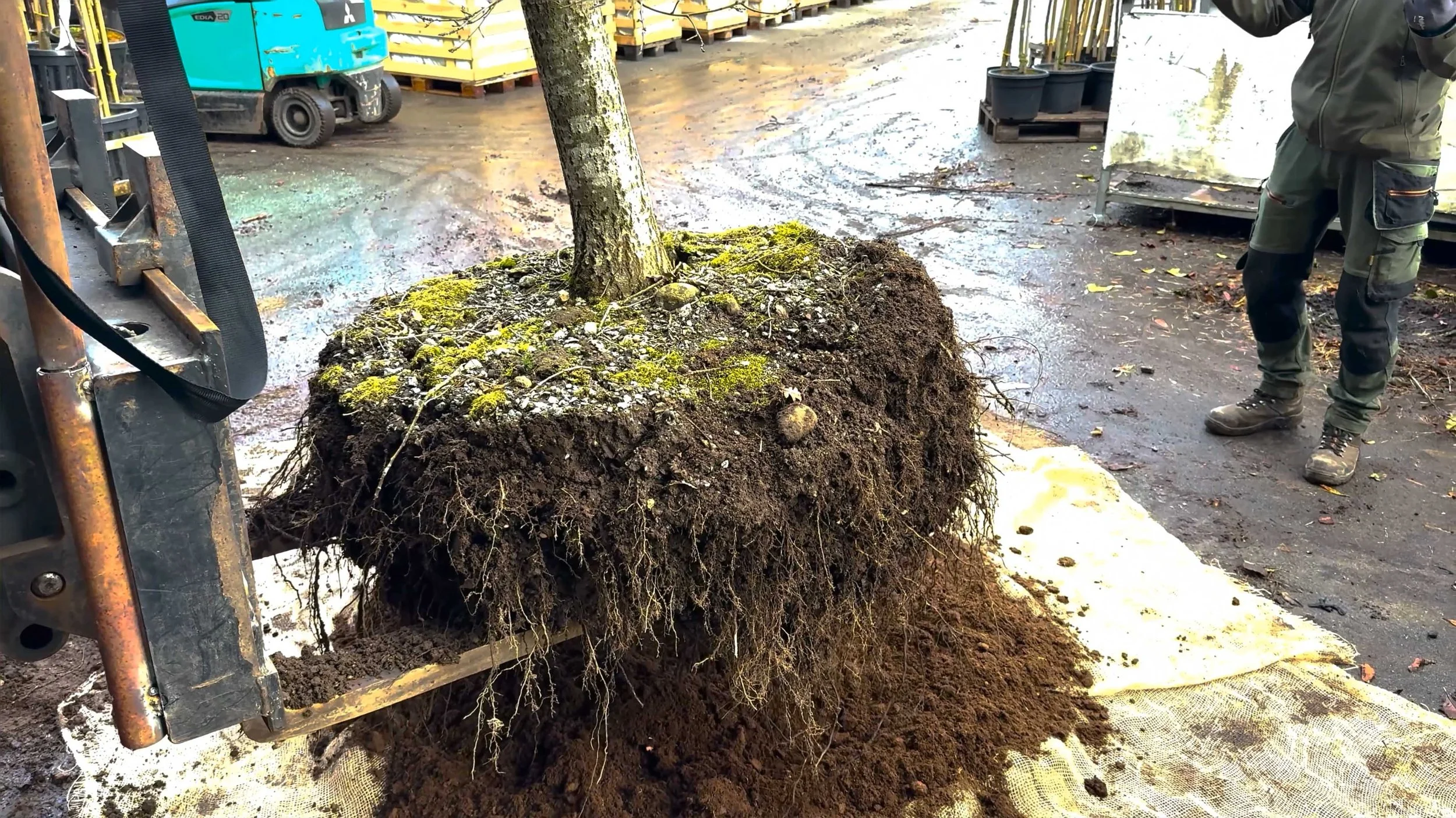 Strand kommune eik folkvord 001.jpg