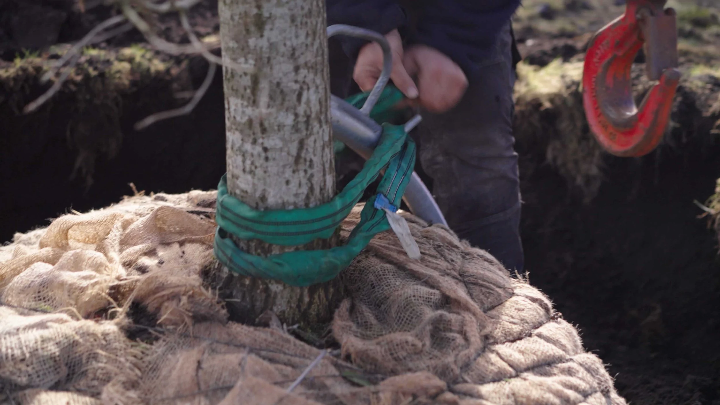 Strand kommune eik folkvord 012.jpg