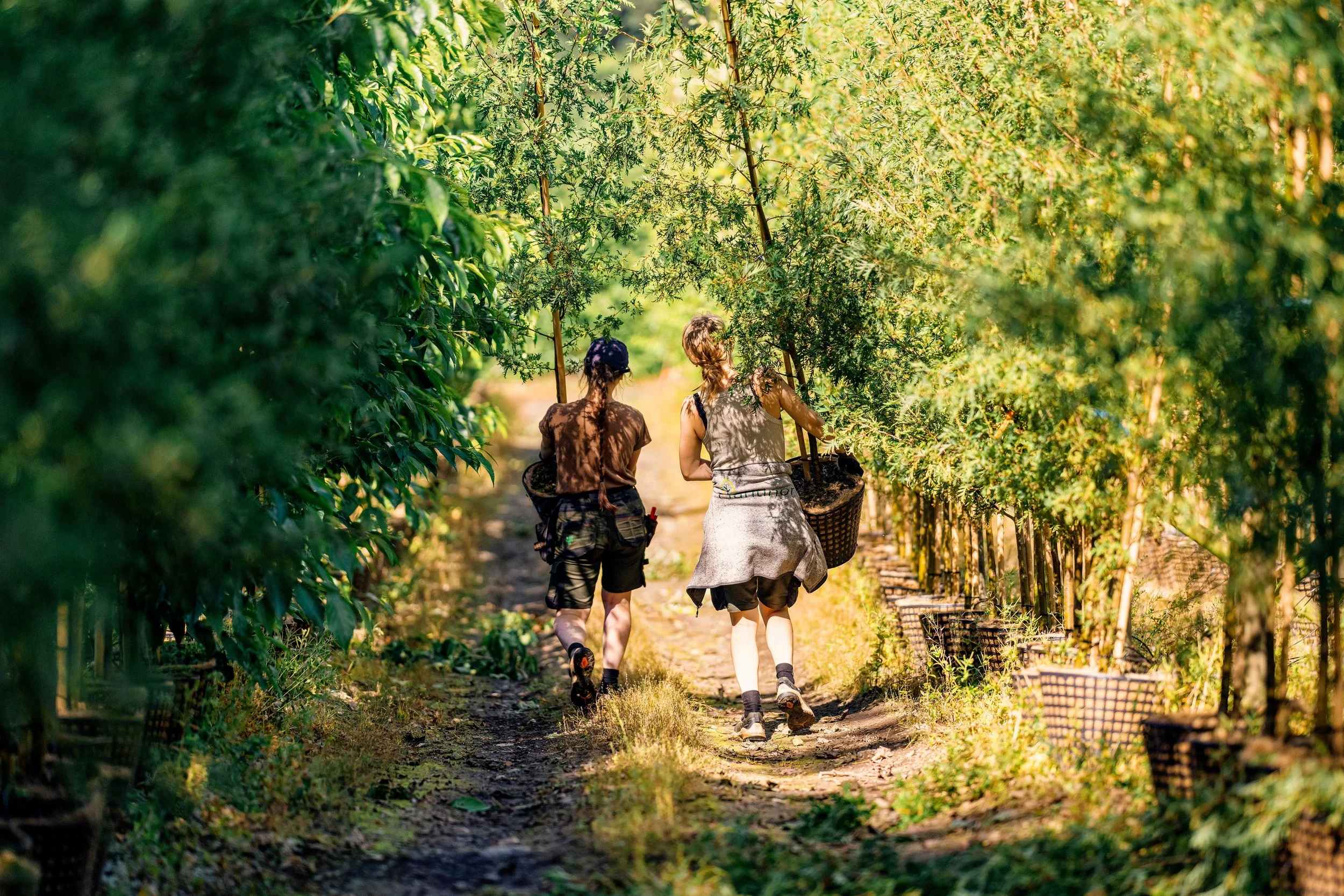 Container Folkvord Planter  aug jenter - 55_09030.jpg
