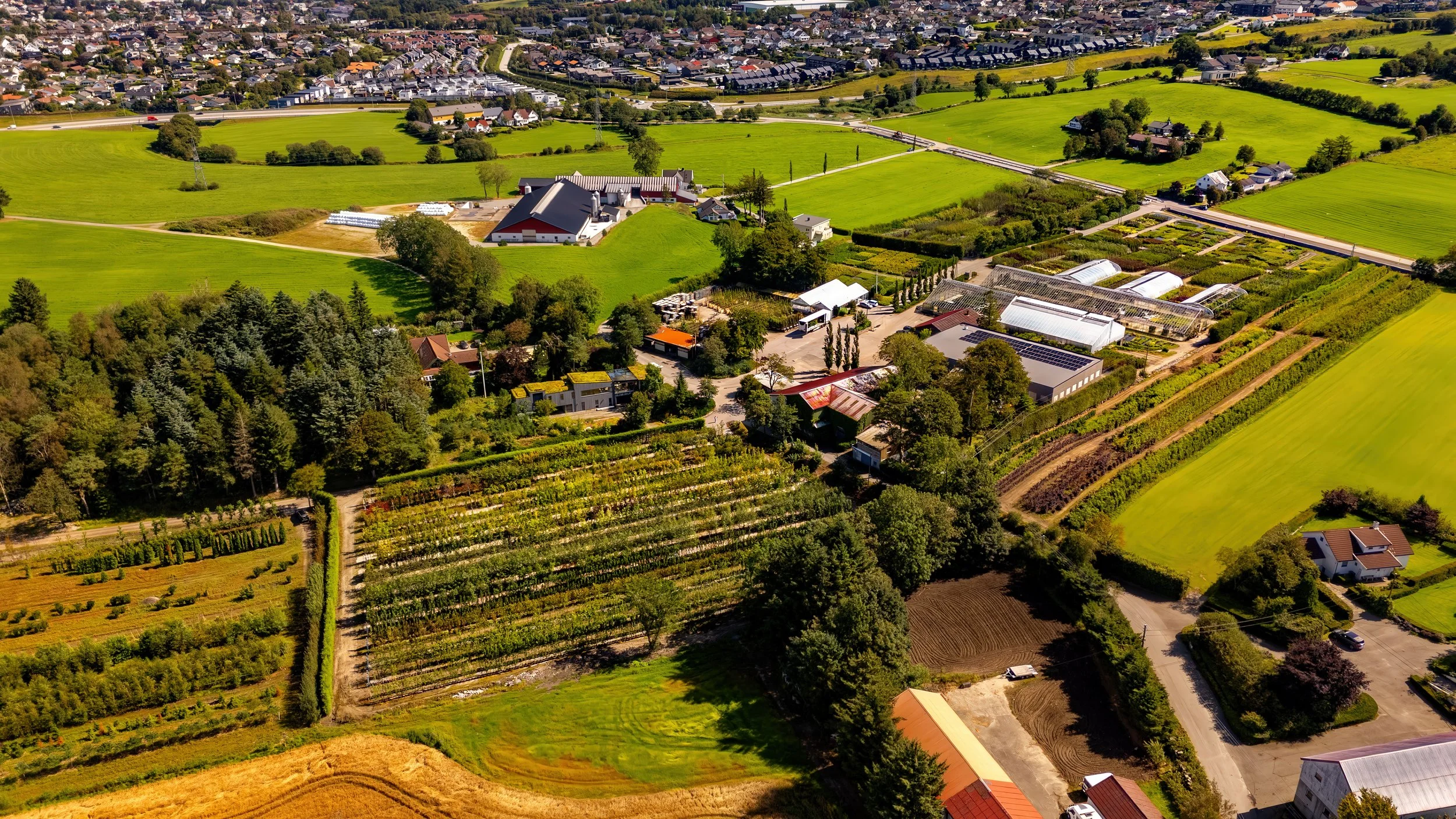 folkvord drone aug - DJI_20250813134124_0033_D.jpg