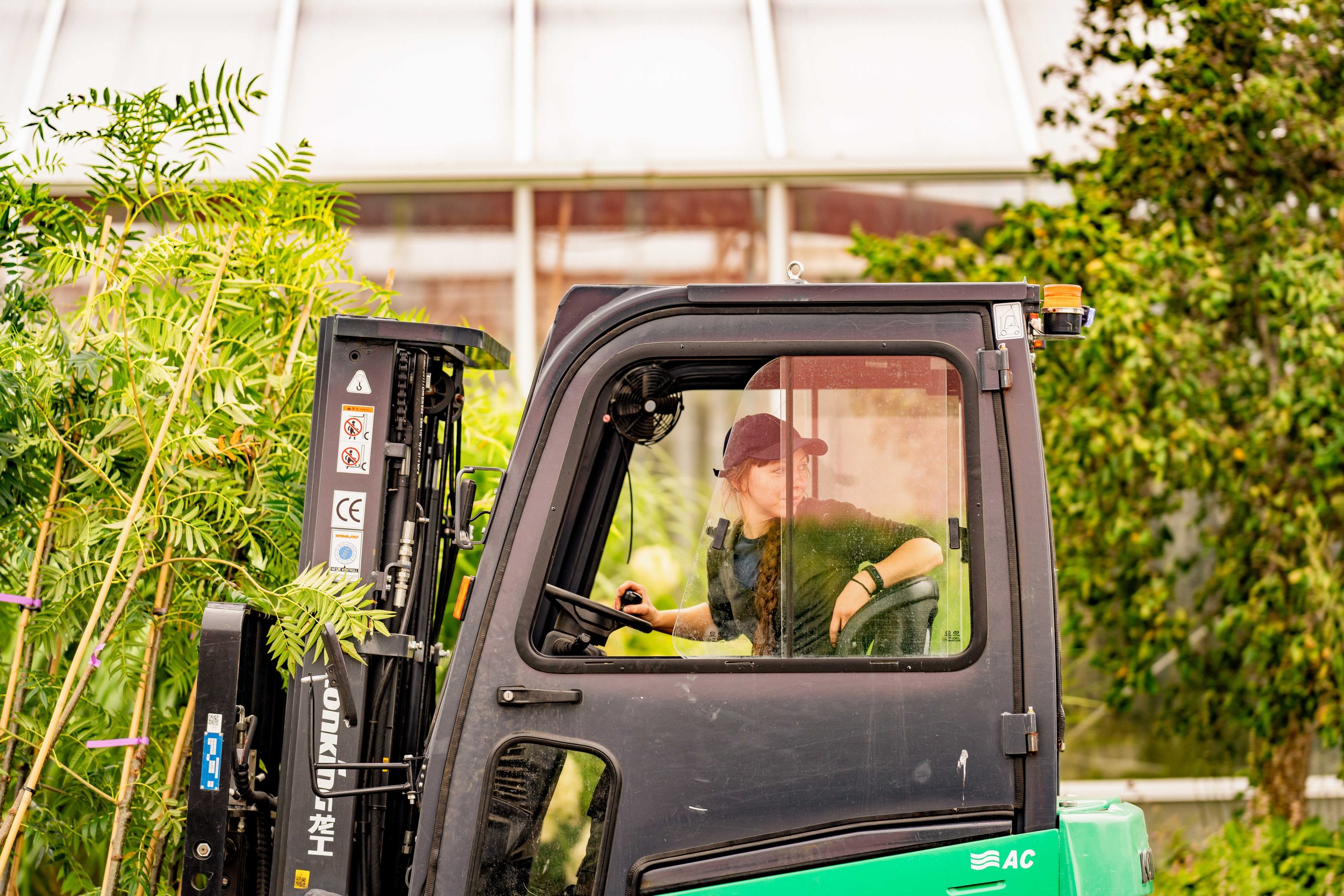 Folkvord Planter  12 aug  35_06087.jpg