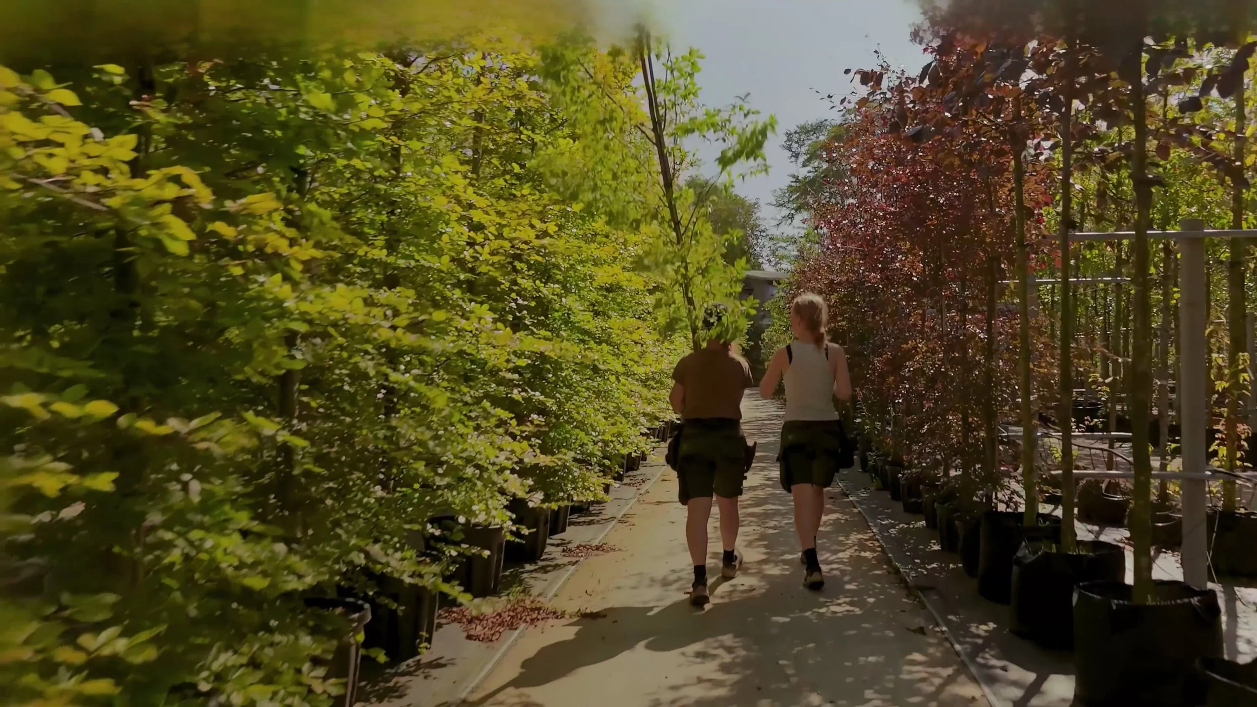 jentene før drone fb.jpg