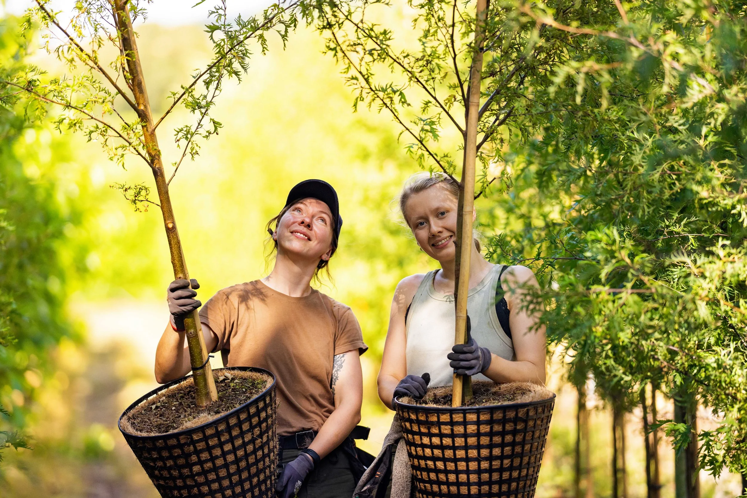 Container Folkvord Planter  aug jenter - 55_09232.jpg