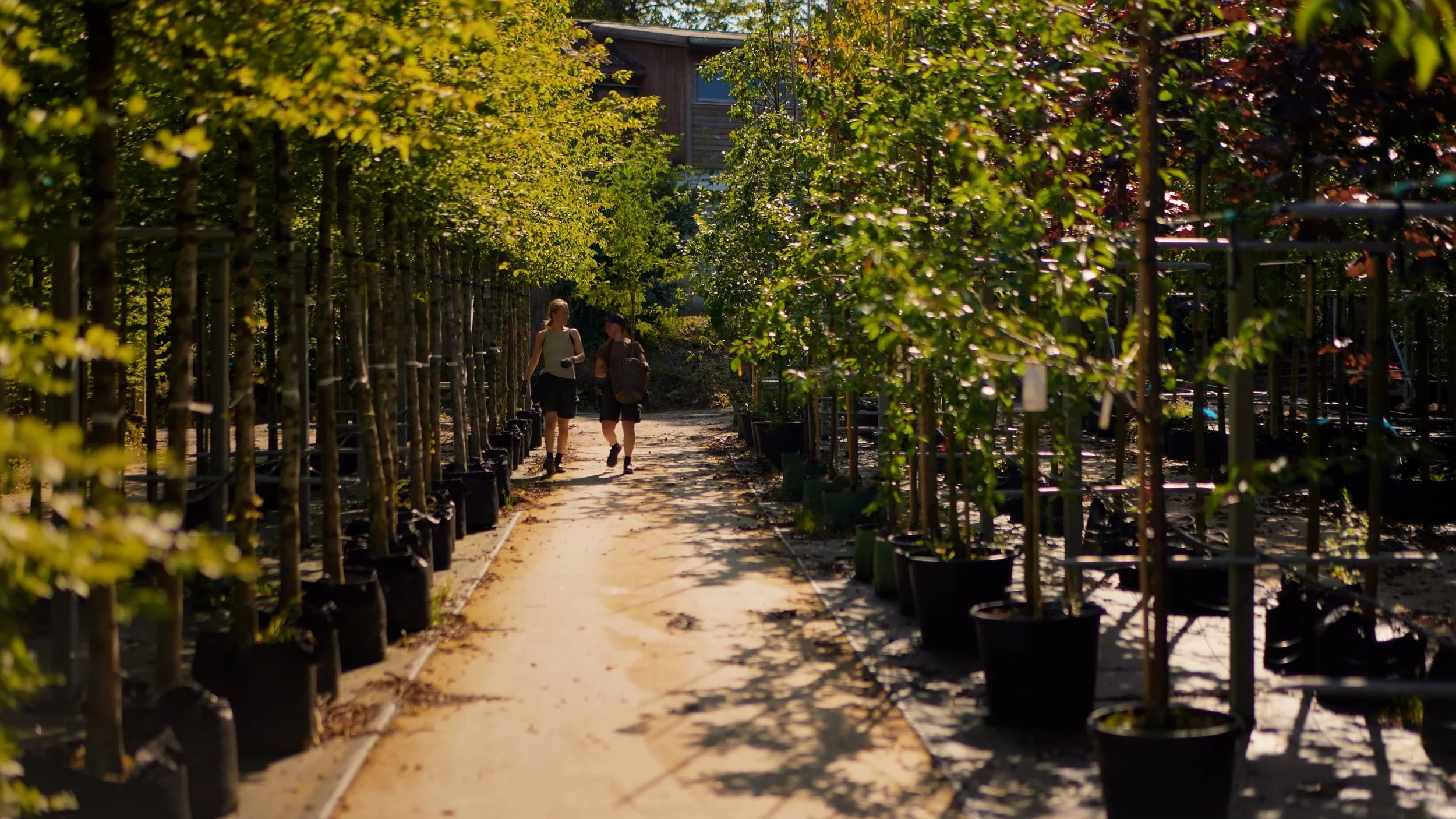 jenter mot kamera thumb.jpg