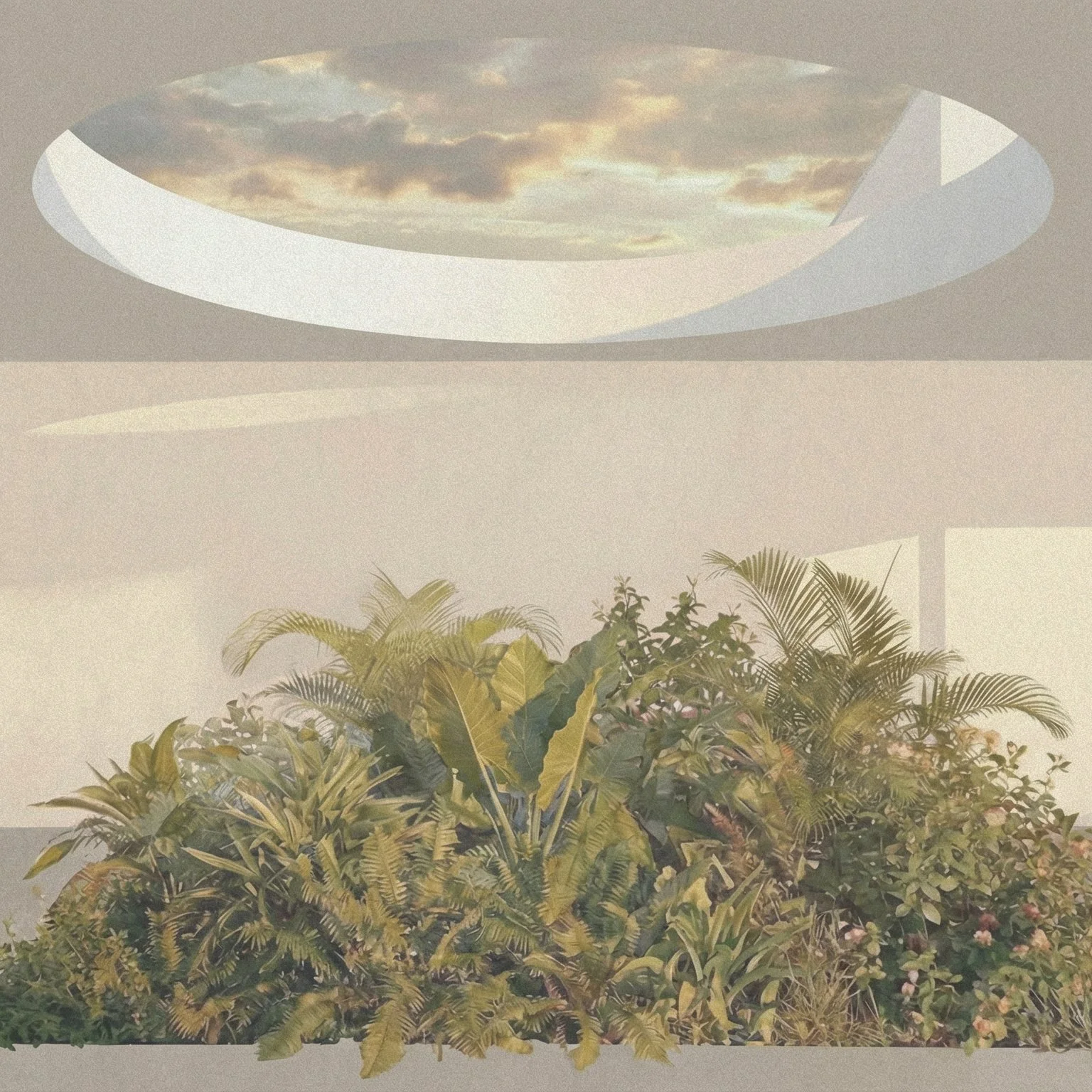 CASA OLIVEIRA