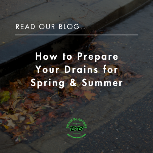 How to Prepare Your Drains for Spring & Summer