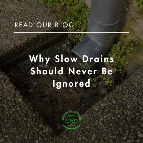 Why Slow Drains Should Never be Ignored