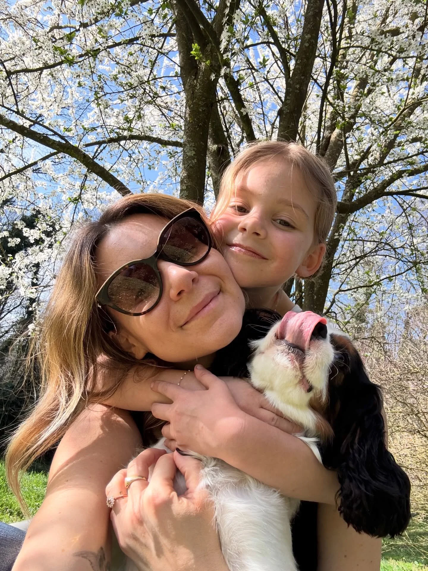 En ce dimanche pascal, que la lumi&egrave;re de la R&eacute;surrection r&eacute;chauffe nos c&oelig;urs.
Que l&rsquo;amour guide nos familles et que l&rsquo;esp&eacute;rance nous &eacute;claire, m&ecirc;me dans l&rsquo;ombre.
La vie triomphe toujours