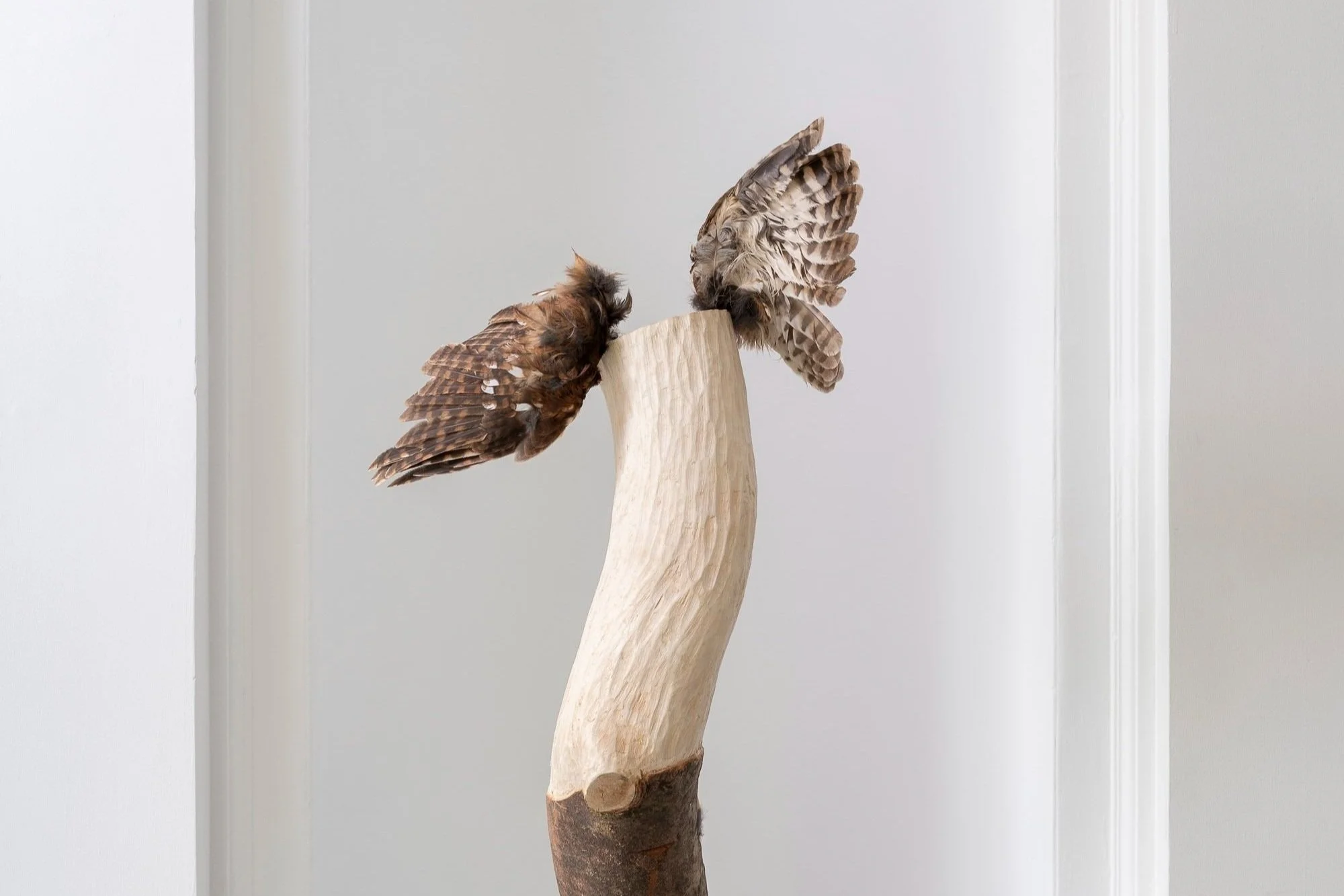 Ingeborg Tysse: WILD WATCH