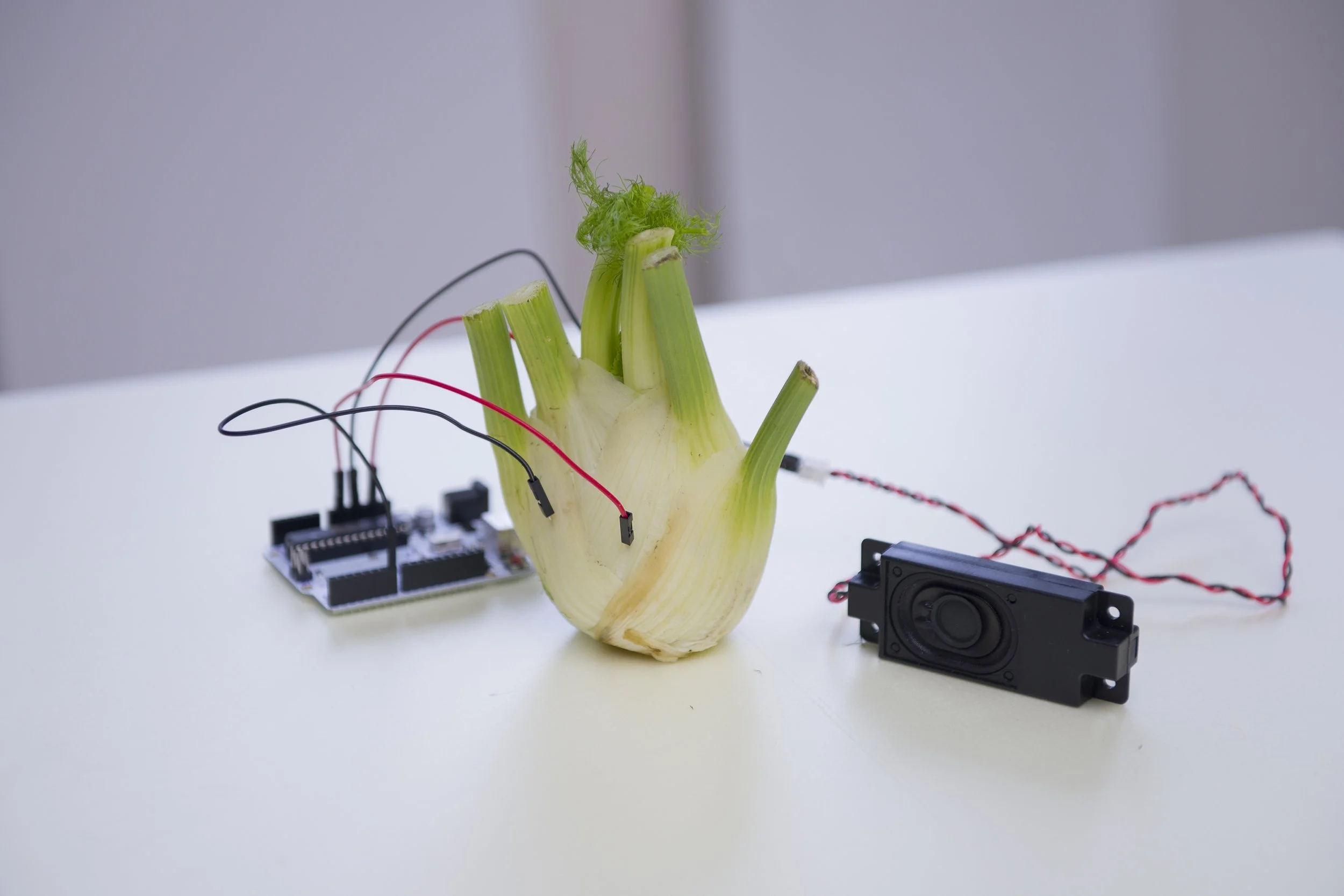 AYATGALI TULEUBEK: I HEAR ALL THESE NEWS, BUT I CAN’T HEAR A SINGLE “I LOVE YOU”