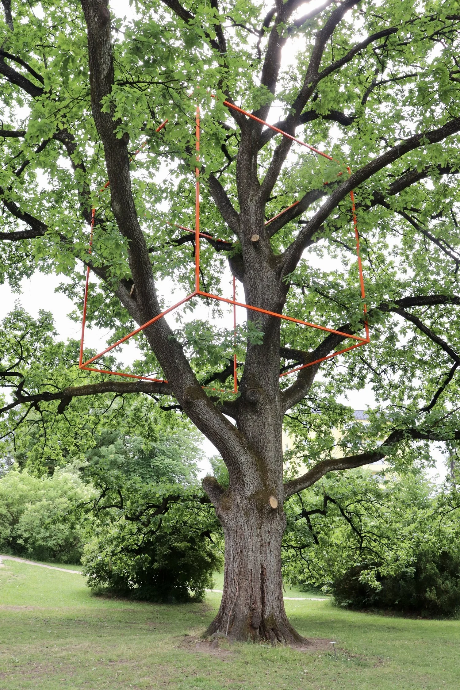 ODDVAR I.N. DAREN / TREETS GEOMETRI