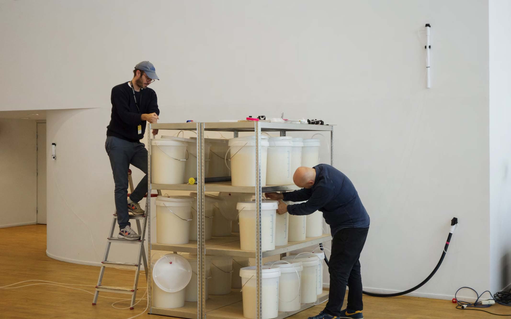 Fermenting Subjects.jpg