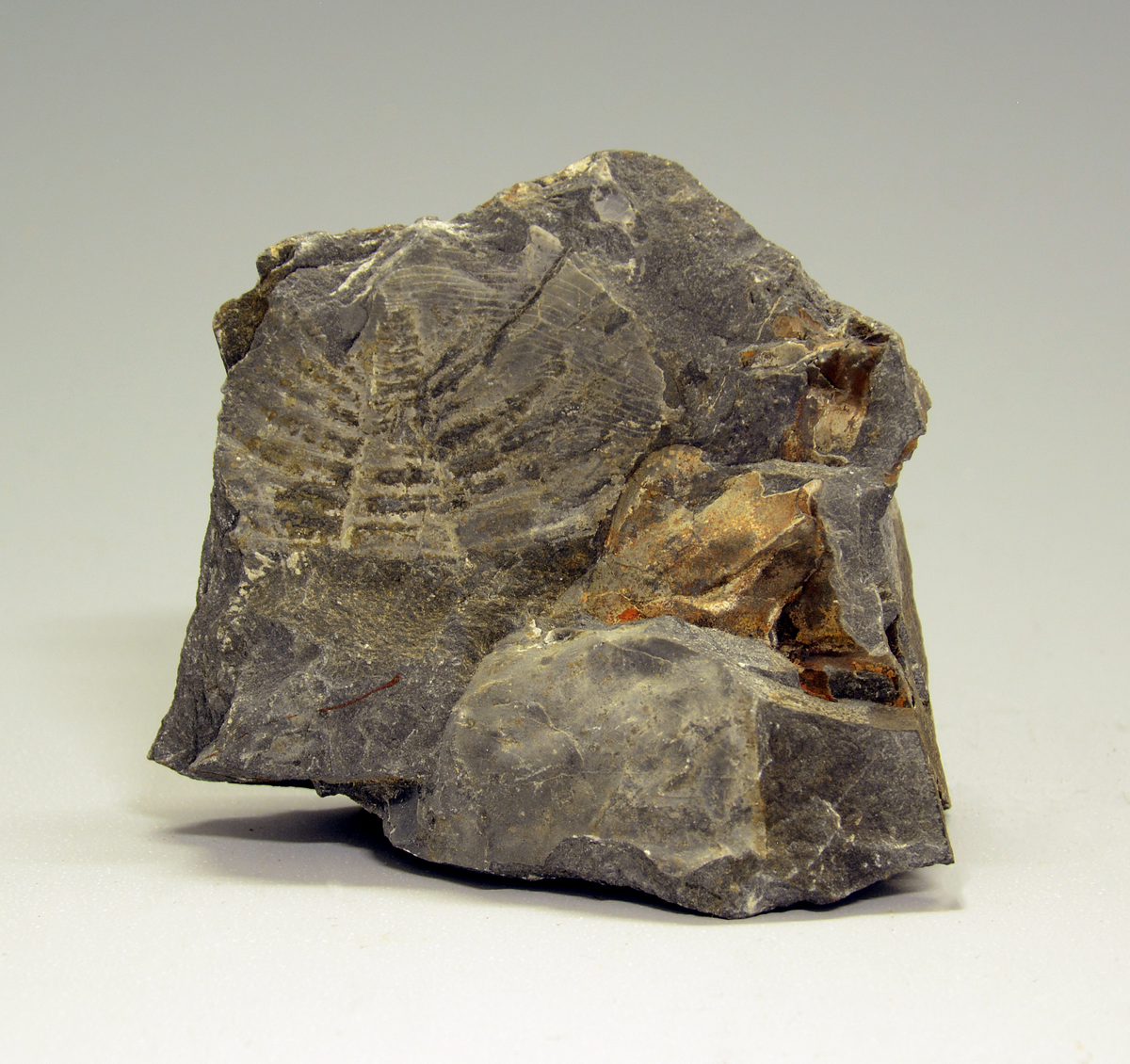 Teknologiske fossiler