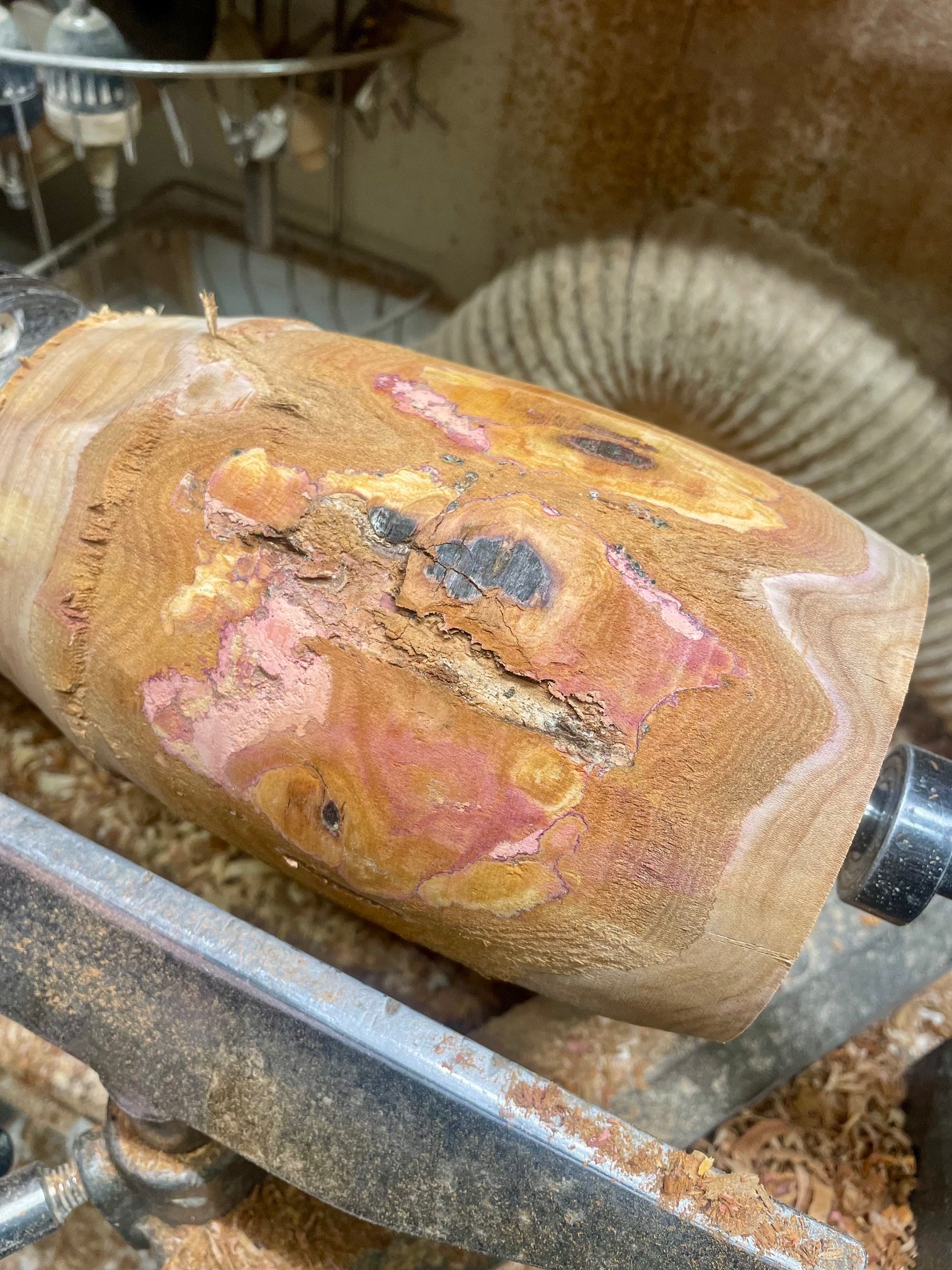 26.11 – 31.01.2027 • MARI KVIEN BRUNVOLL + ELIDA BRENNA LINGE