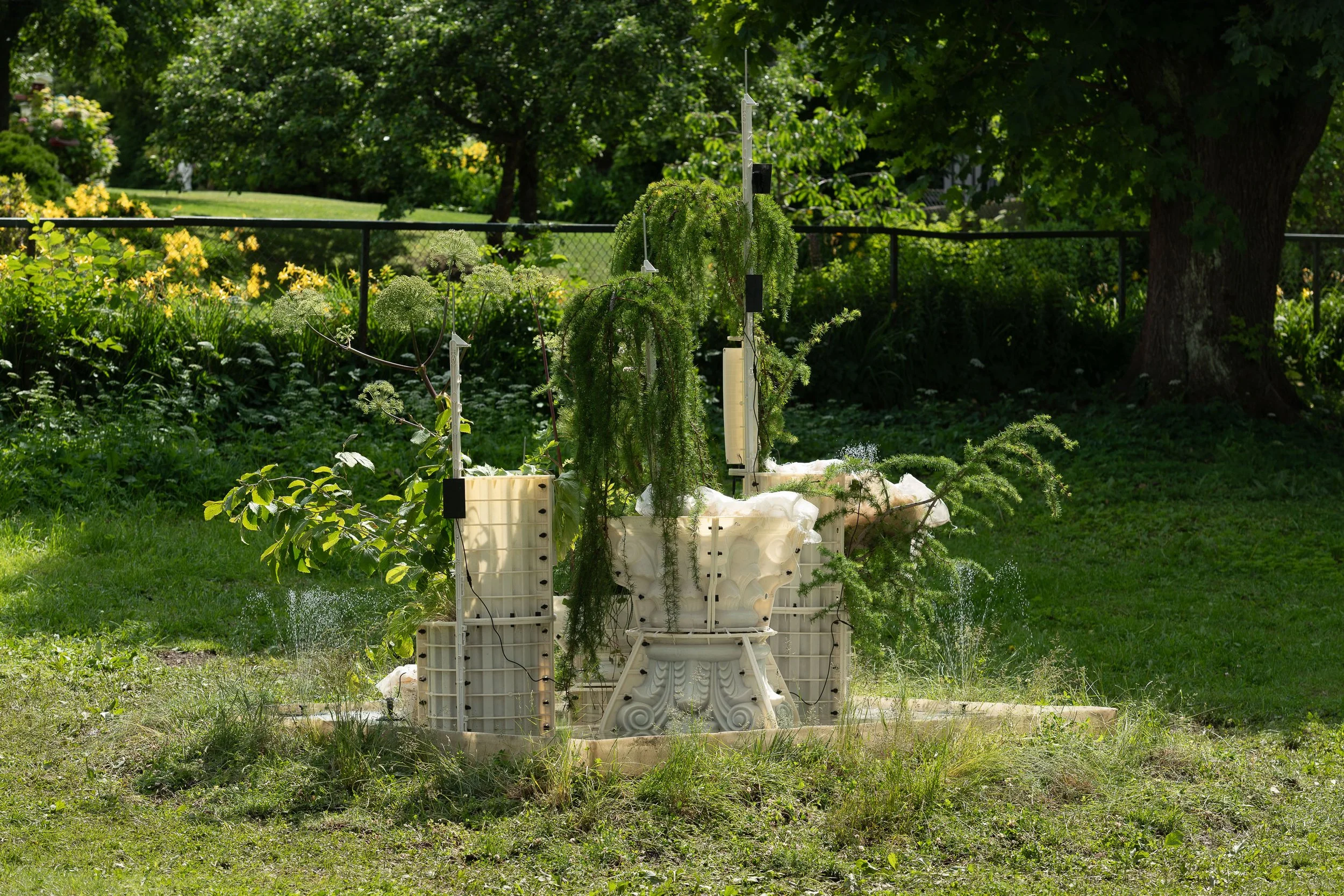 KAREN PEDERSTAD Fontana della Fortuna