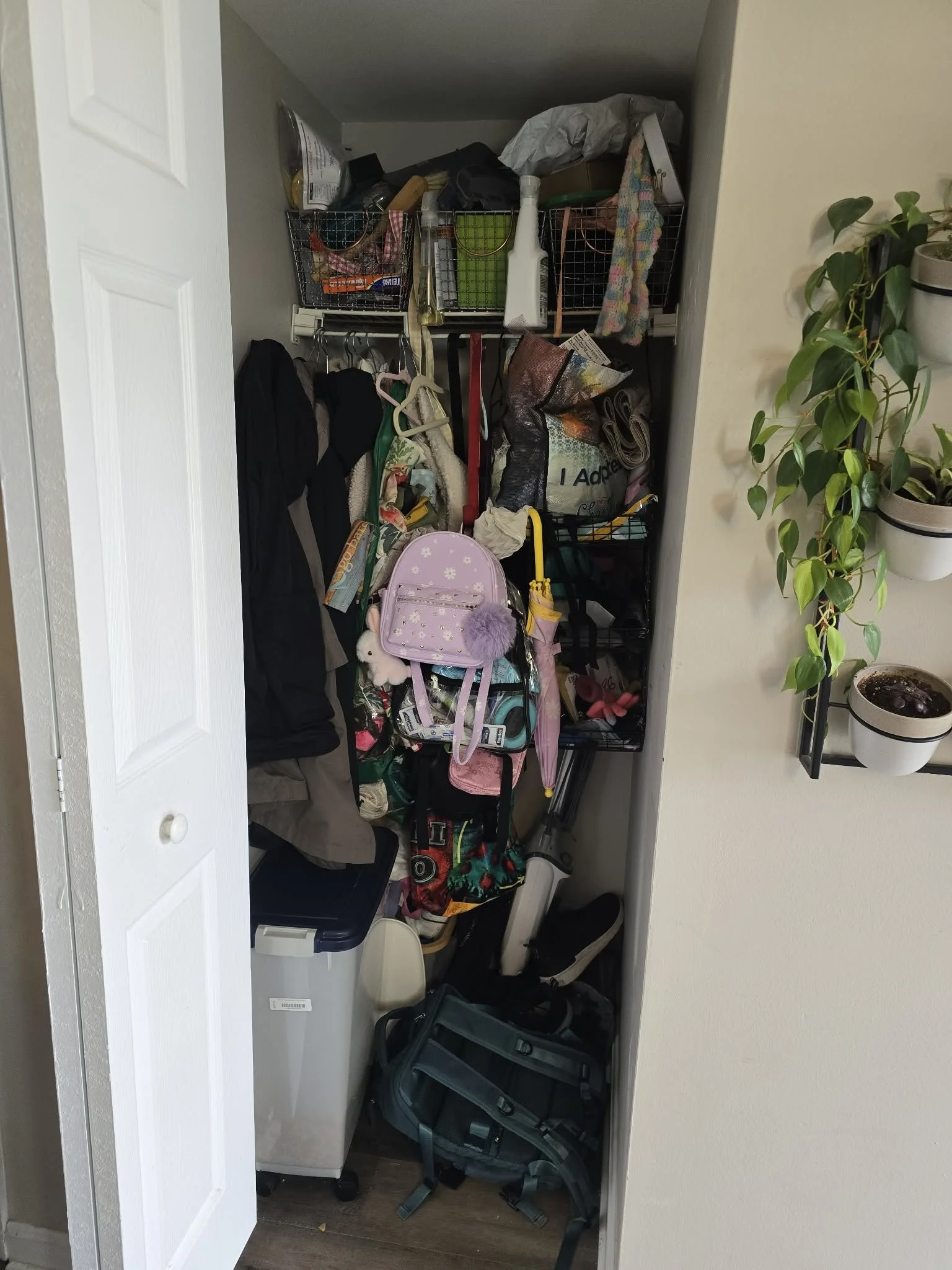 Before Front Closet