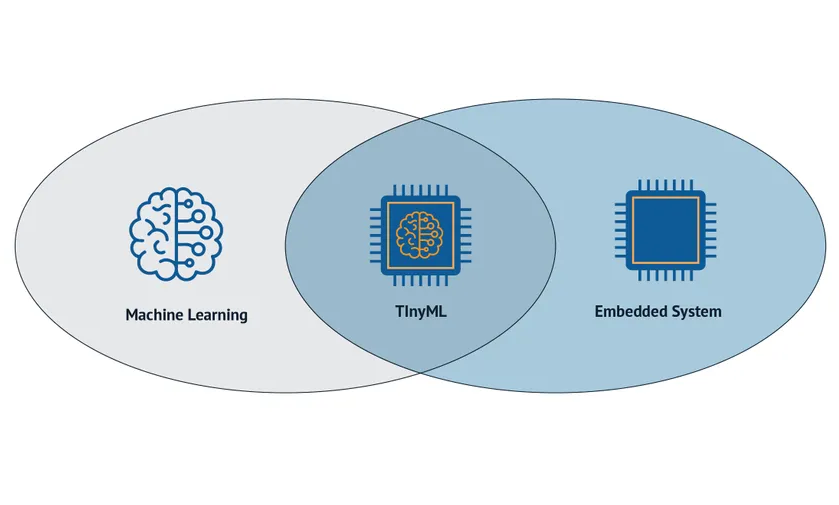 The Potential of TinyML