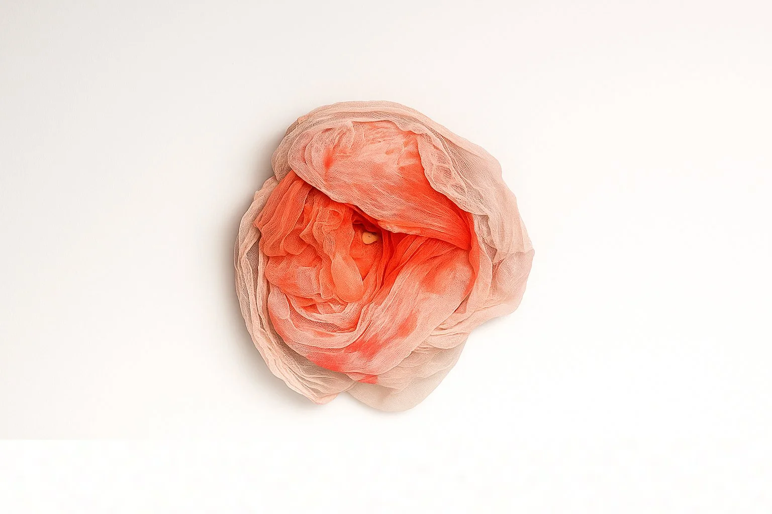 A close-up of a coral-colored flower with delicate, layered petals and a hint of white on the outer edges, placed against a white background.