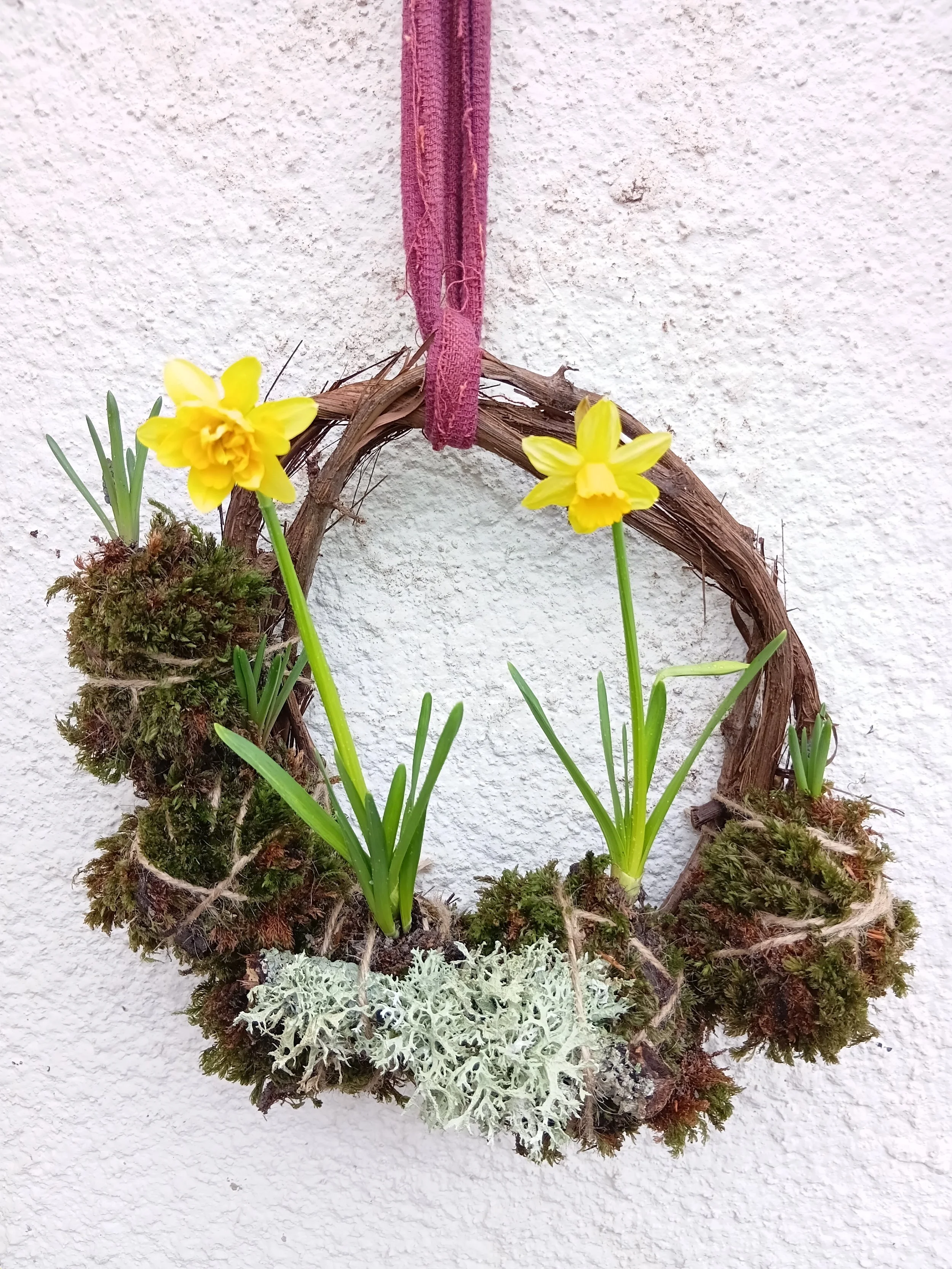 20260312_120412 (1).jpg