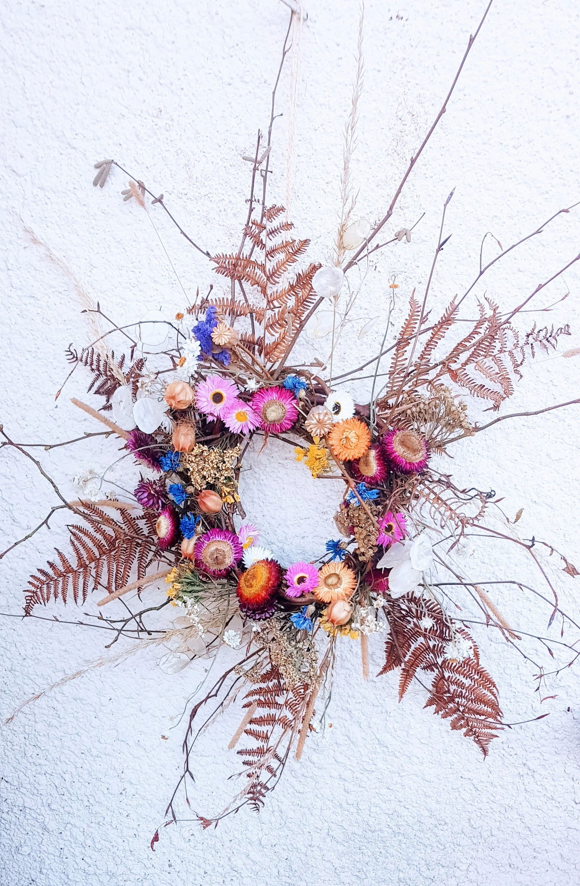 20251216_114238 (1).jpg