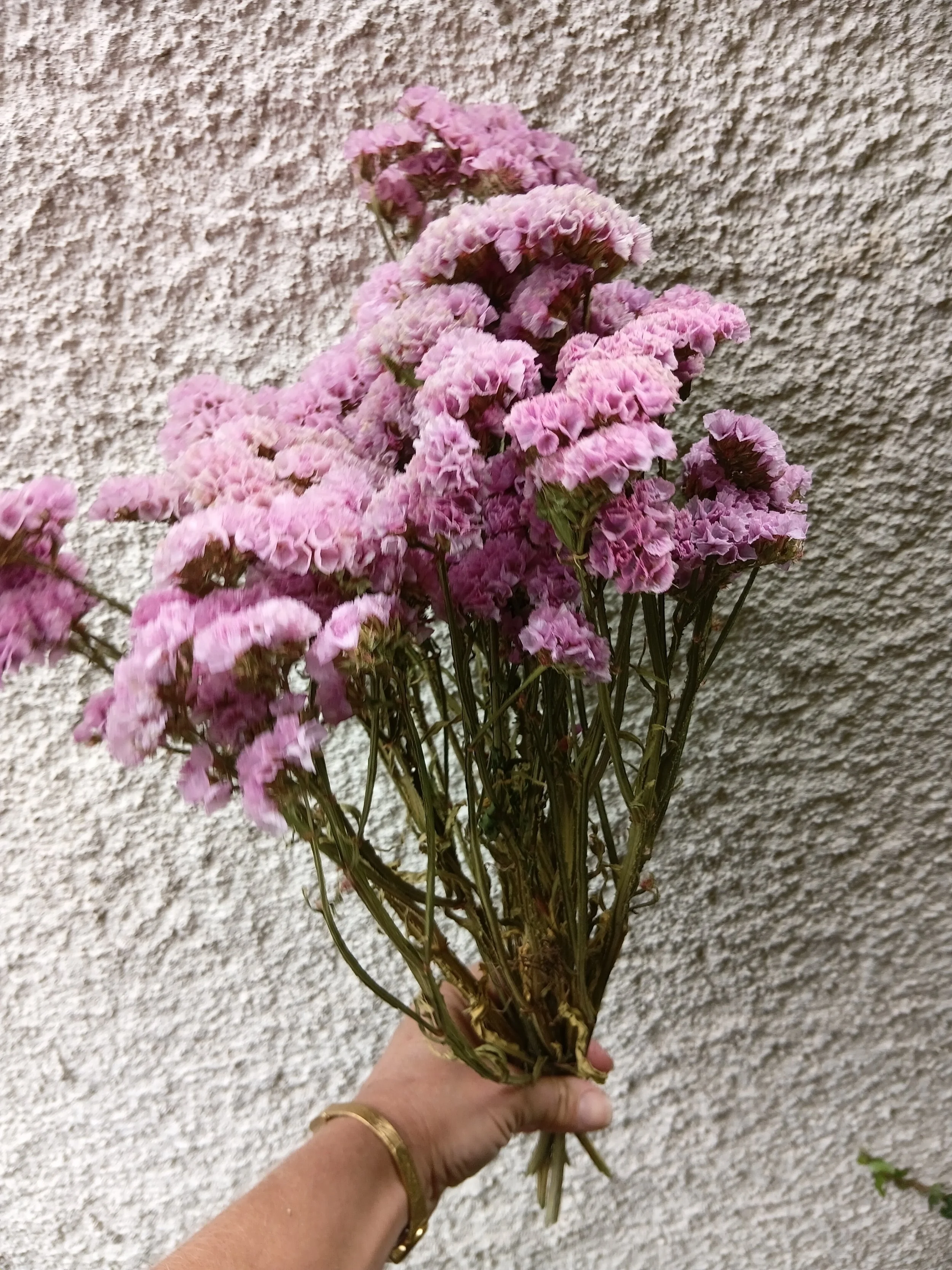 20260918_093459.jpg