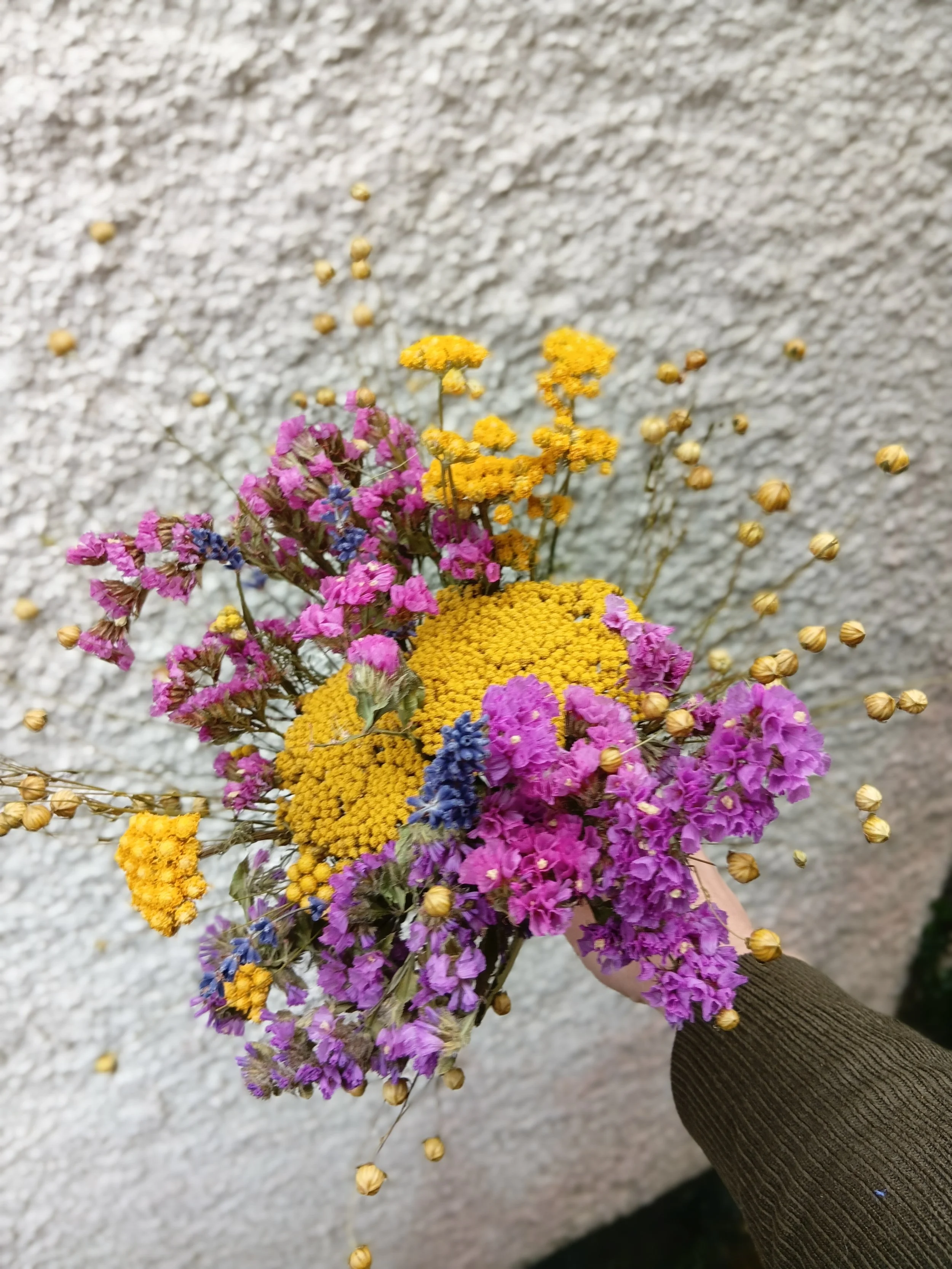 20260224_102233 (1).jpg