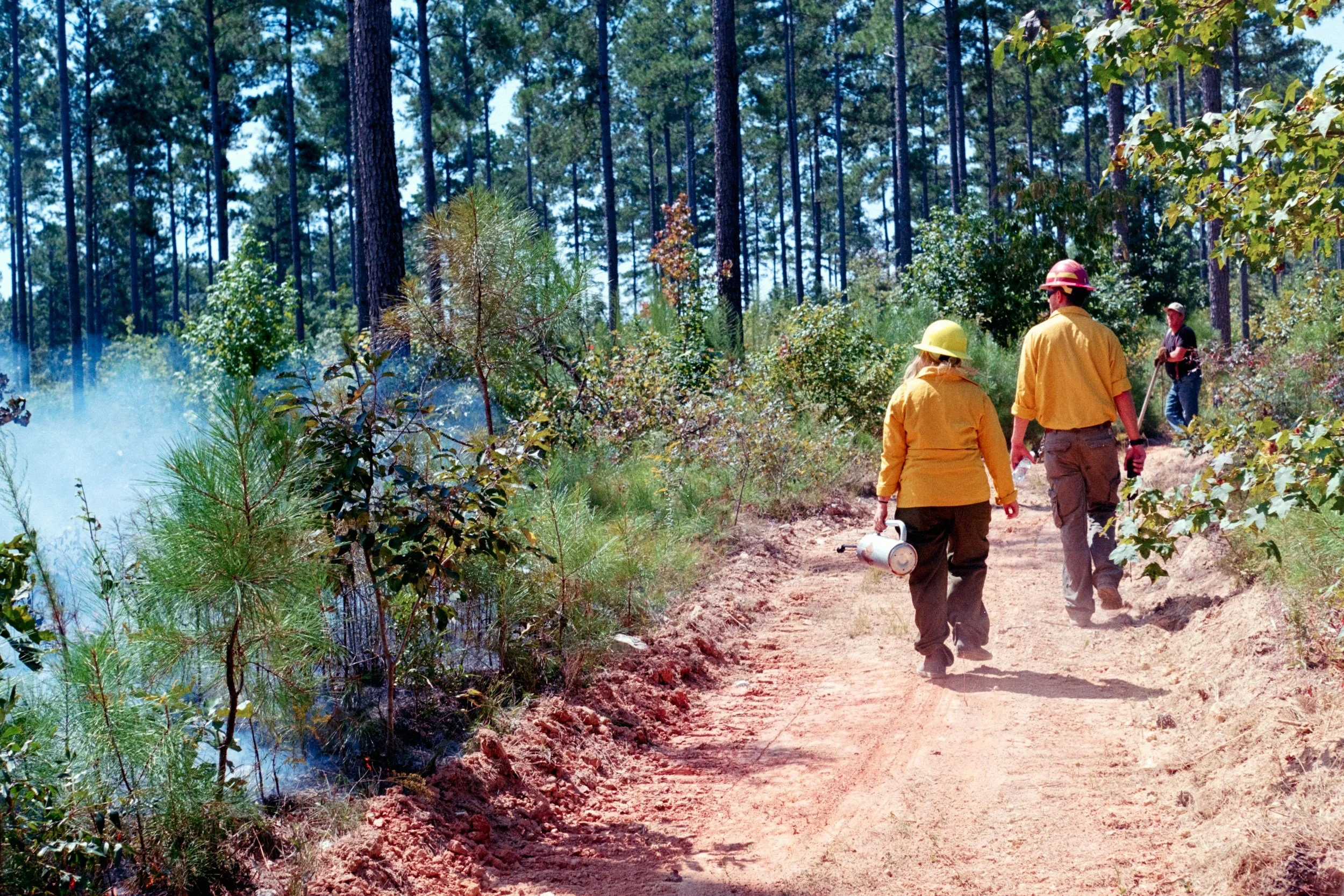 Firefighters walking along a dirt path in a forest, with smoke and smoldering vegetation on the side.
