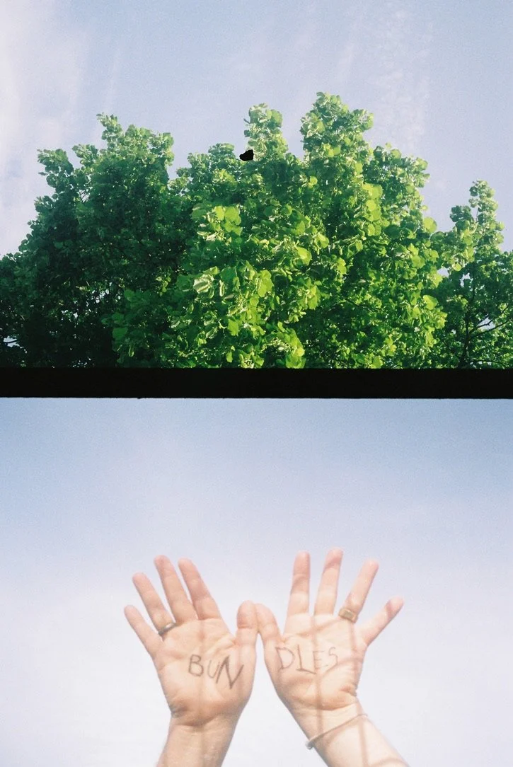Hand and Tree Bundles.jpeg
