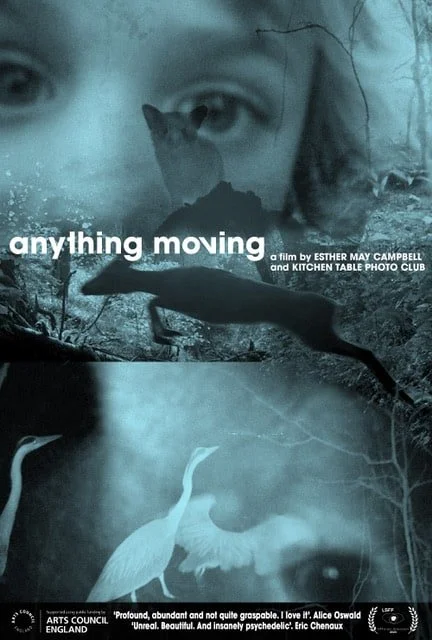 anythingmoving-afilm-blu-1.jpeg