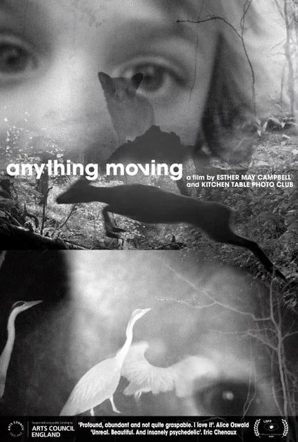 anythingmoving-afilm-bnw.jpeg