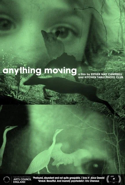 anythingmoving-afilm-grn-1.jpeg