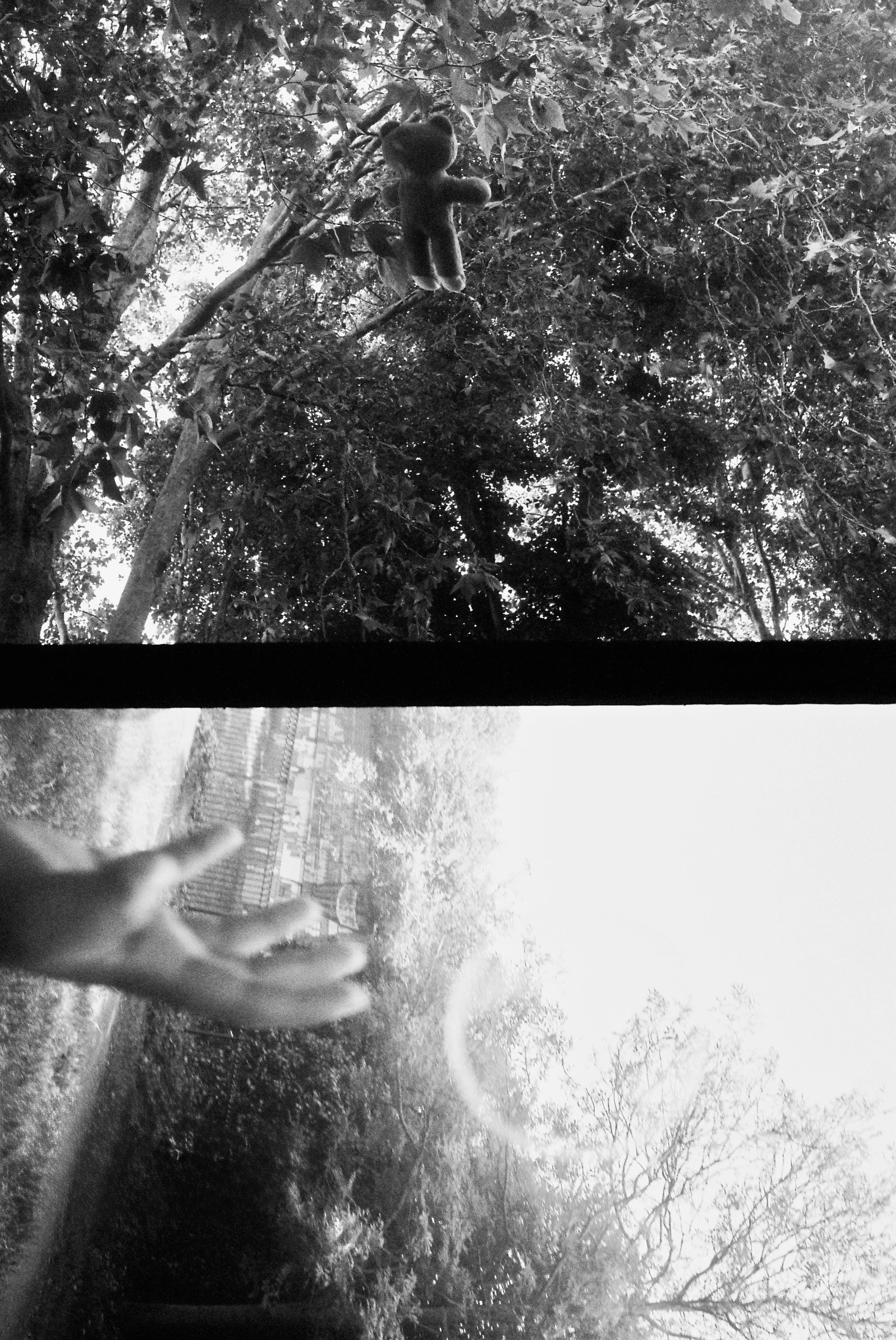 Bubble Bear Photo 04 Bundles.jpeg