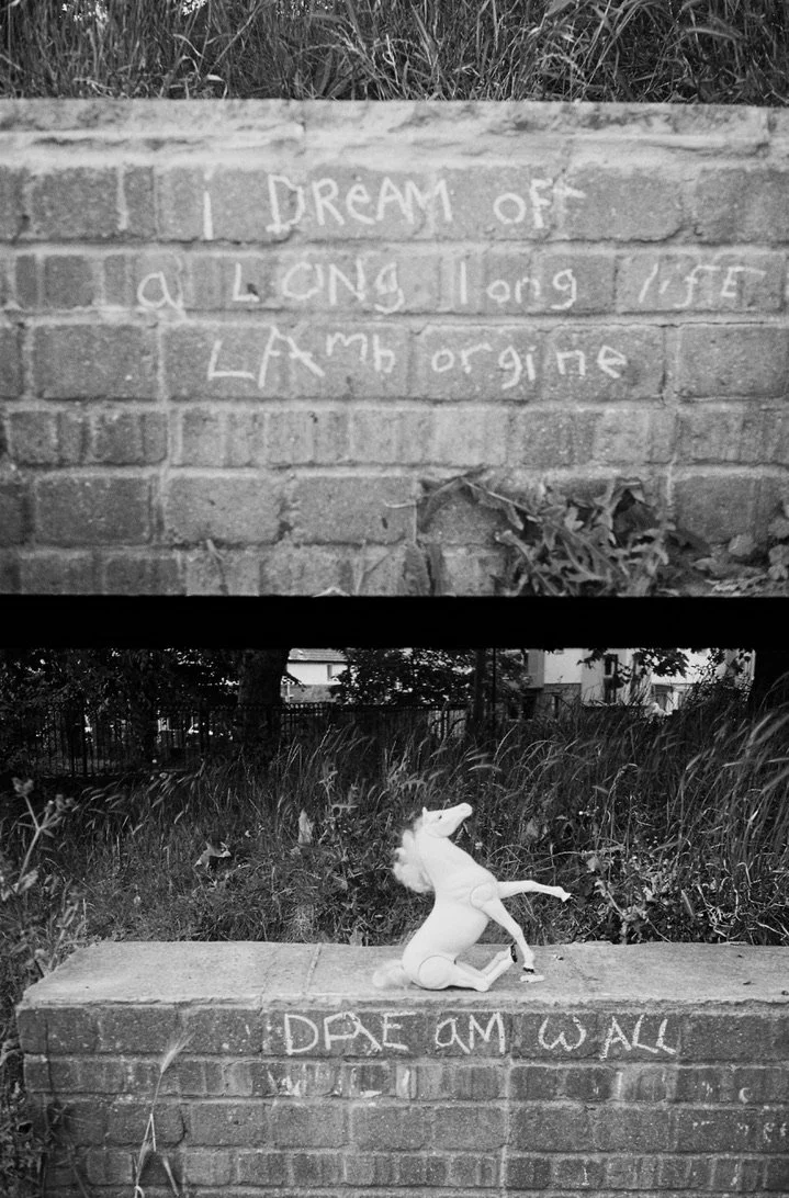 Dream Wall Photo 03 Bundles.jpeg