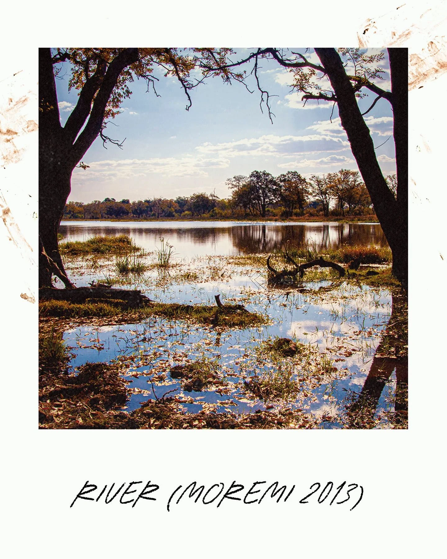 This polaroid - from the batch my marketing team made, is a little different from the others. It doesn't feature any people or animals and isn't the topic of some crazy story. Instead its about a slow morning and the appreciation of the wilderness ar