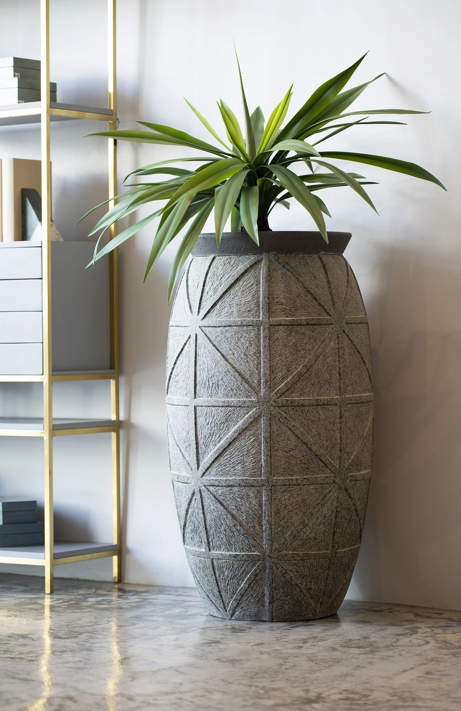 26th_Aug_Done2479 copy.jpg