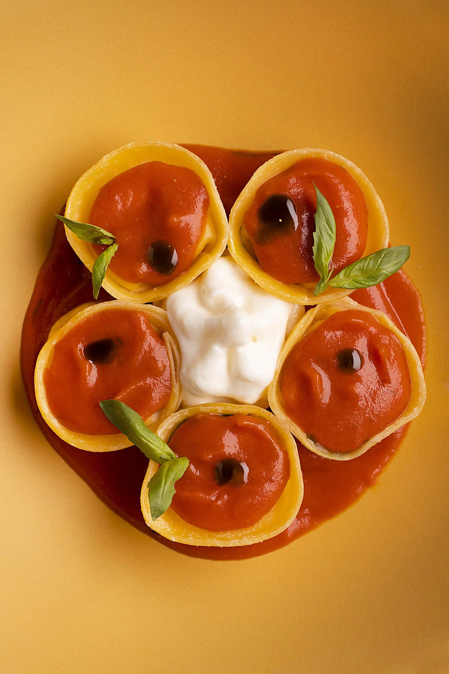 Six cannelloni pasta tubes filled with cheese