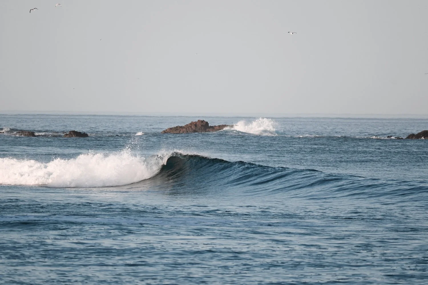 Where is mirleft? and how to get there 