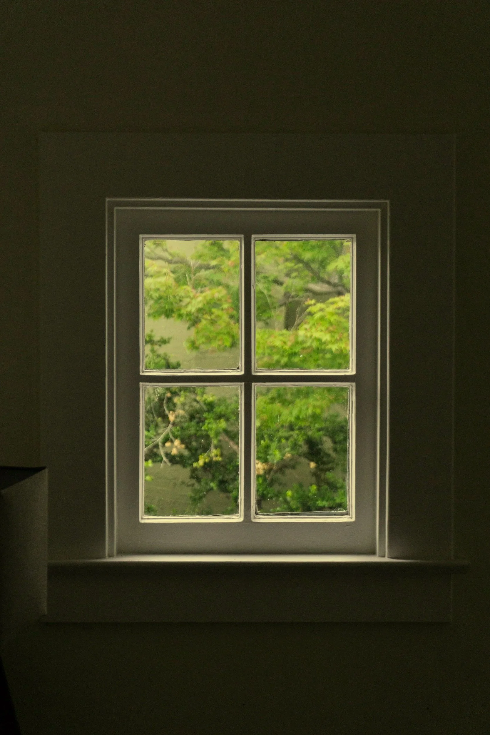 A view through a small rectangular window showing green leafy trees outside.